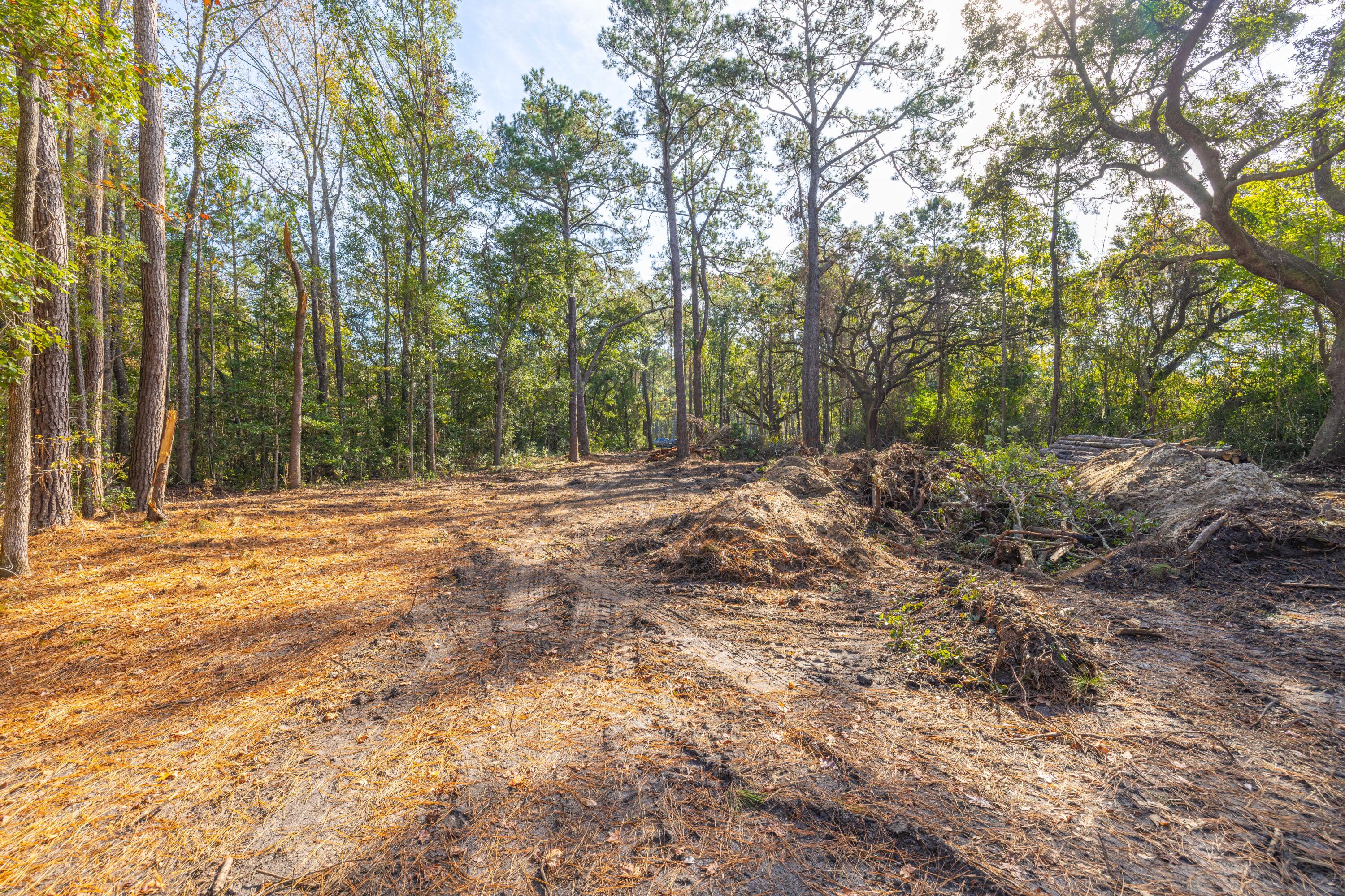 746 Dupre Road, McClellanville