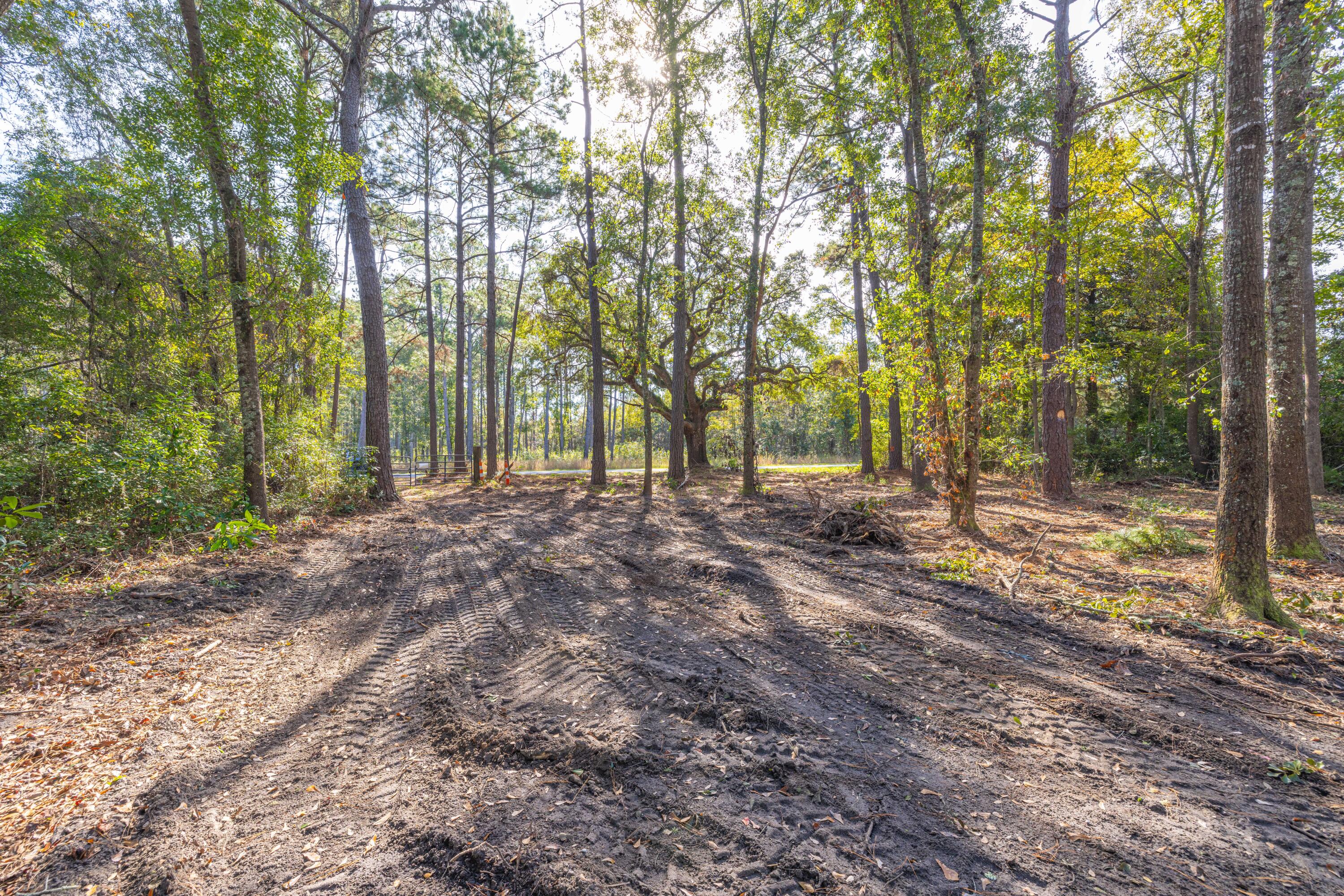 746 Dupre Road, McClellanville