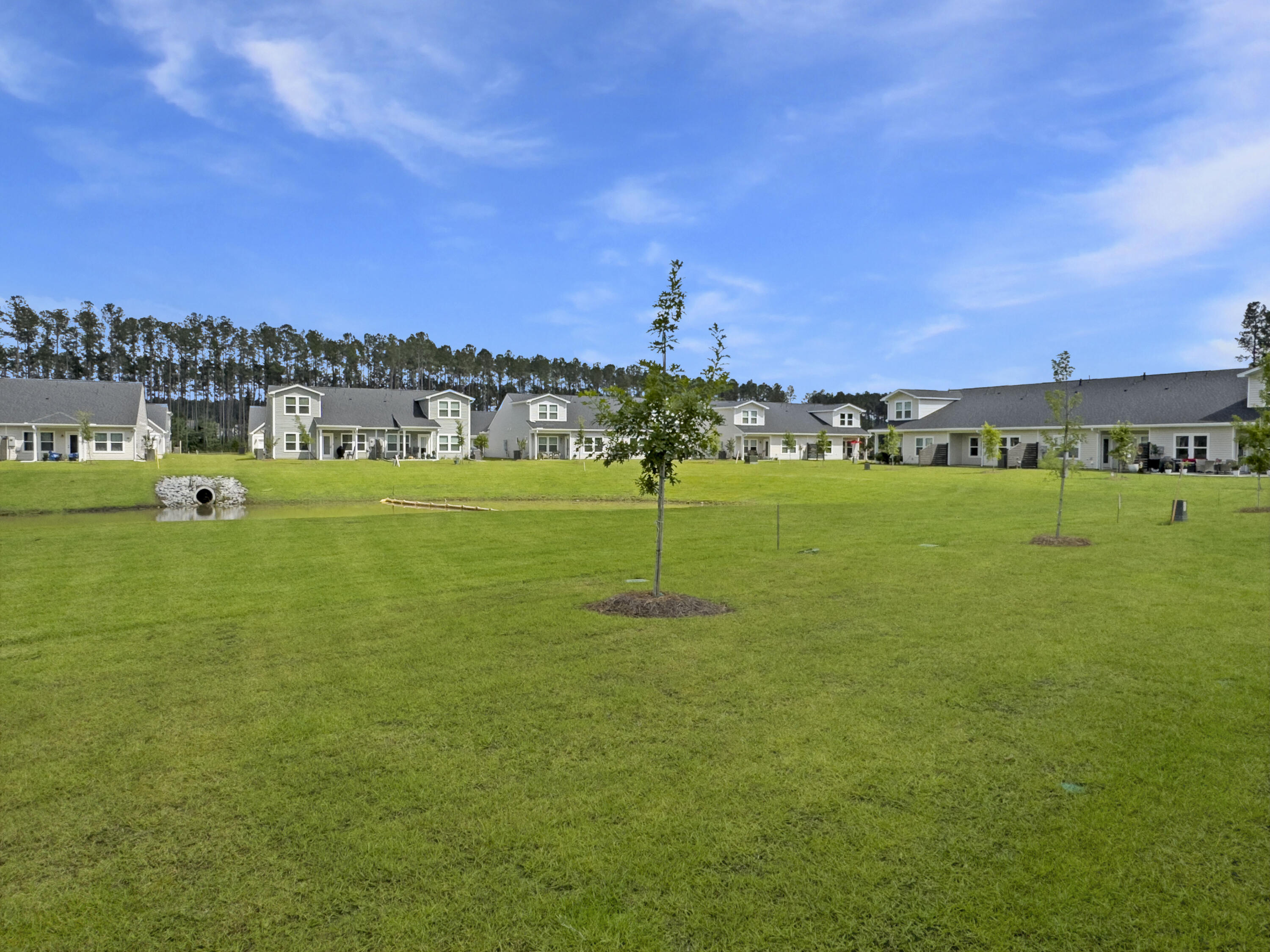 953 Dusk Drive, Summerville