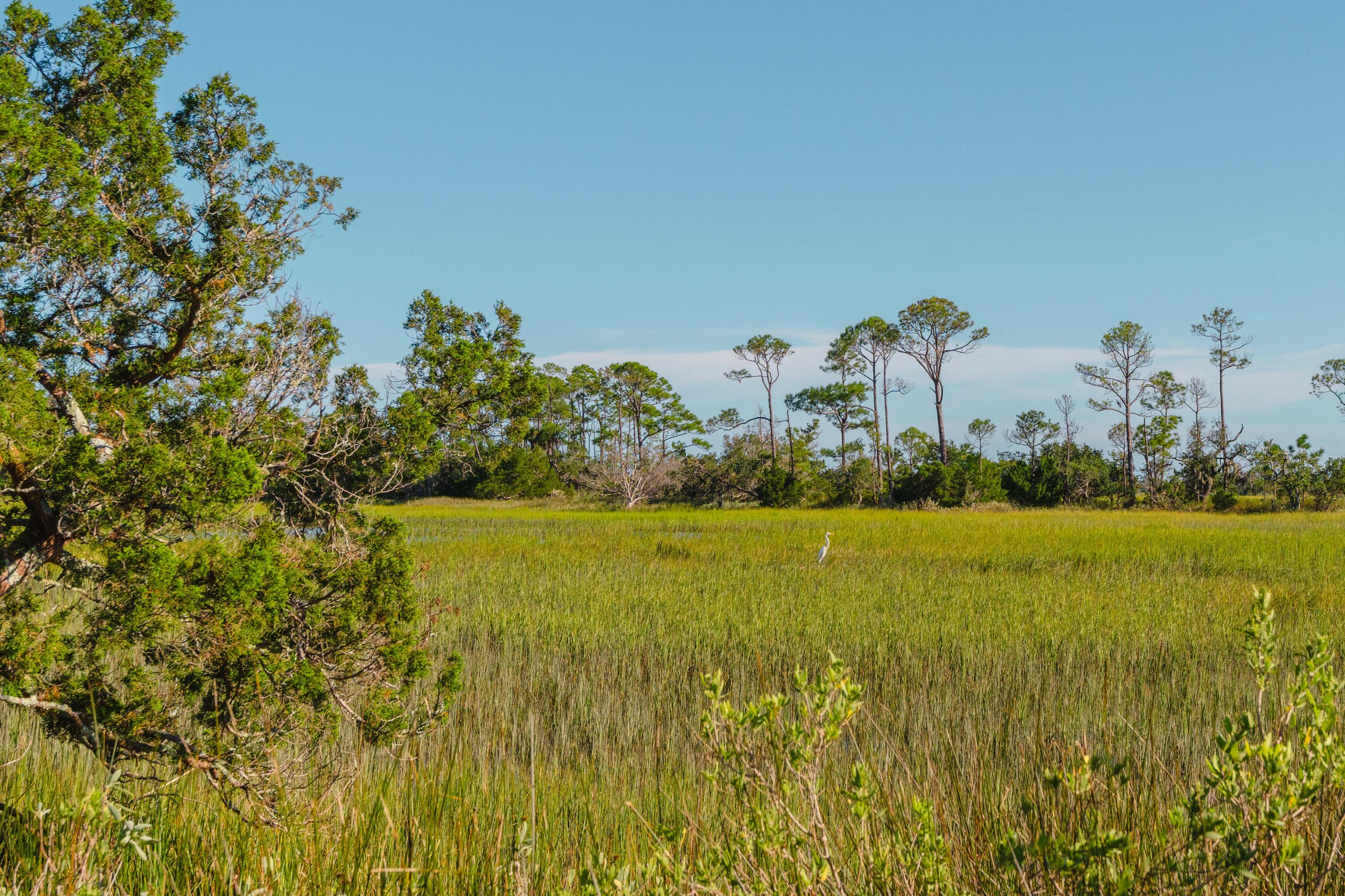 0 Stono River Drive