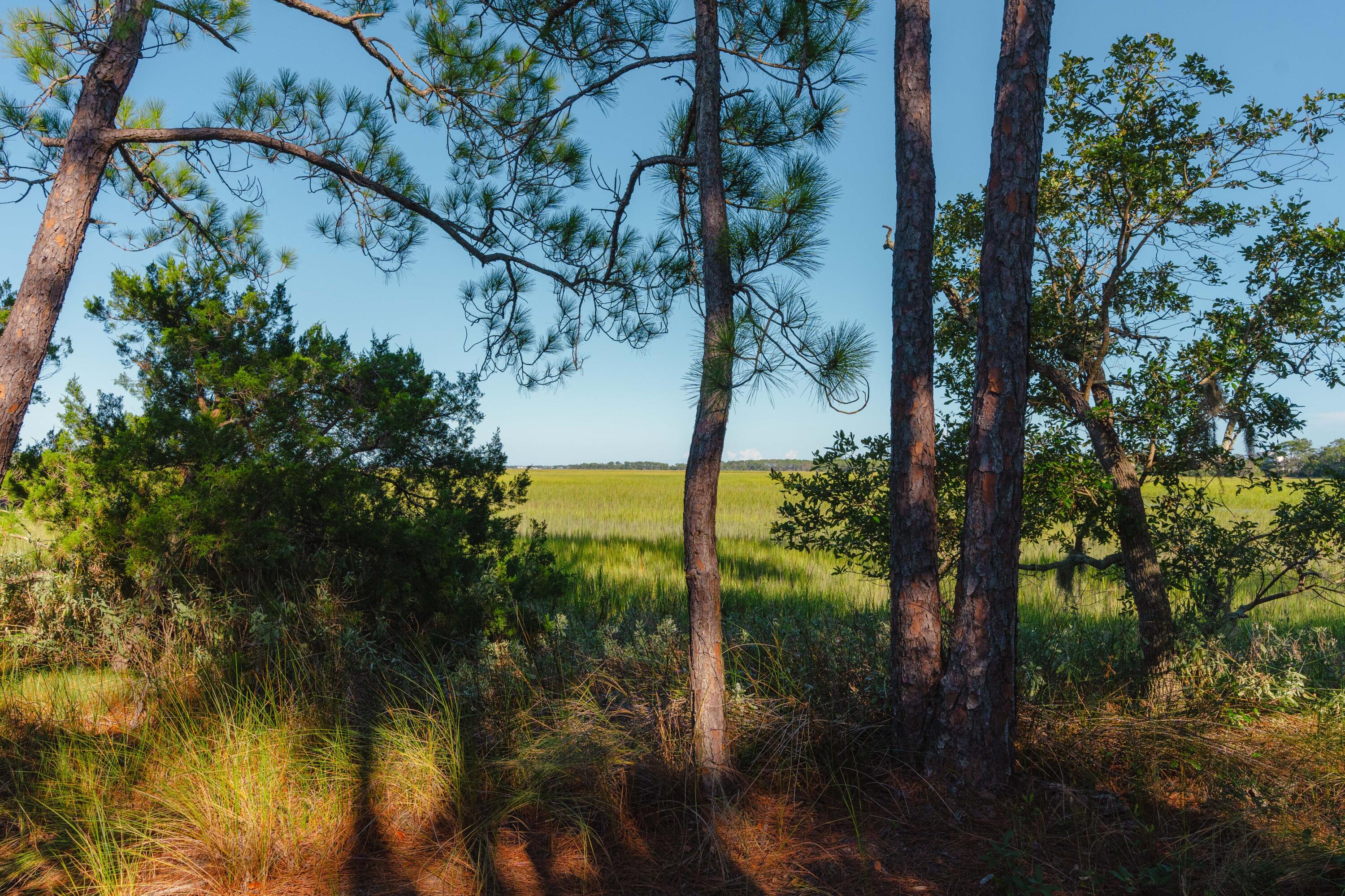 0 Stono River Drive
