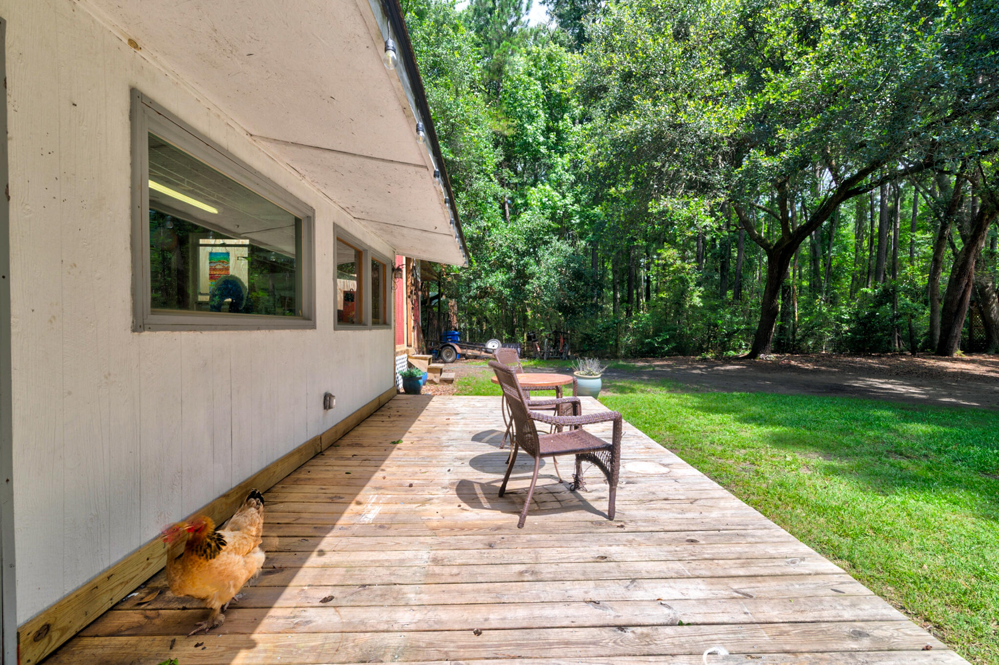 1384 Tibwin Road, McClellanville