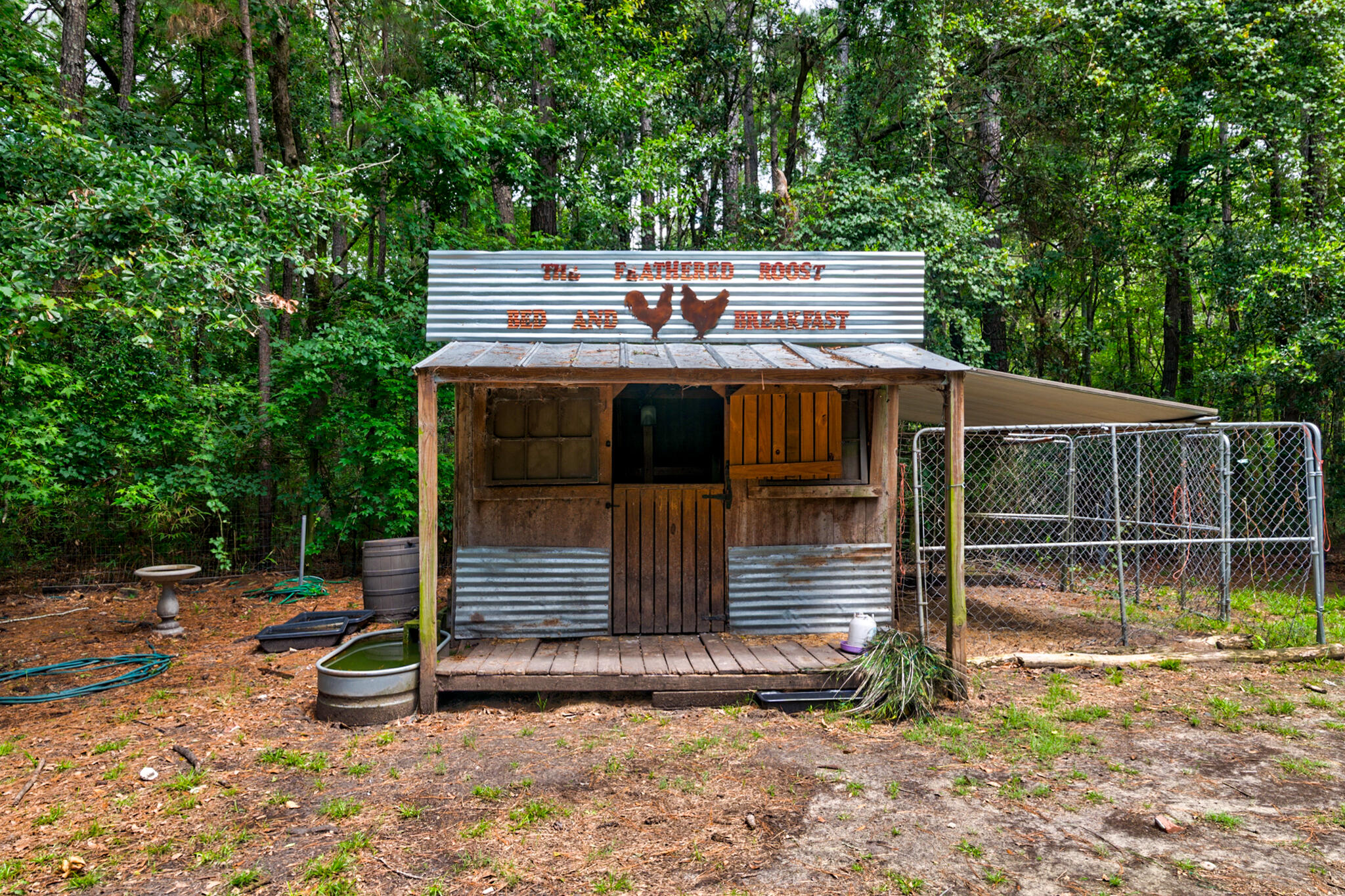 1384 Tibwin Road, McClellanville