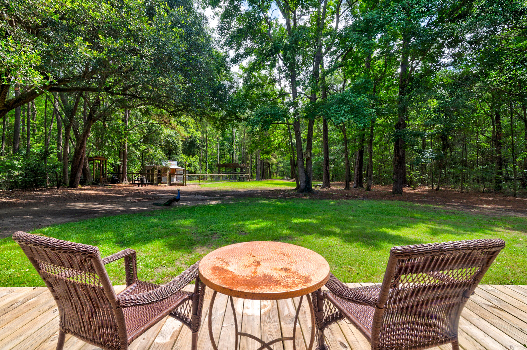 1384 Tibwin Road, McClellanville