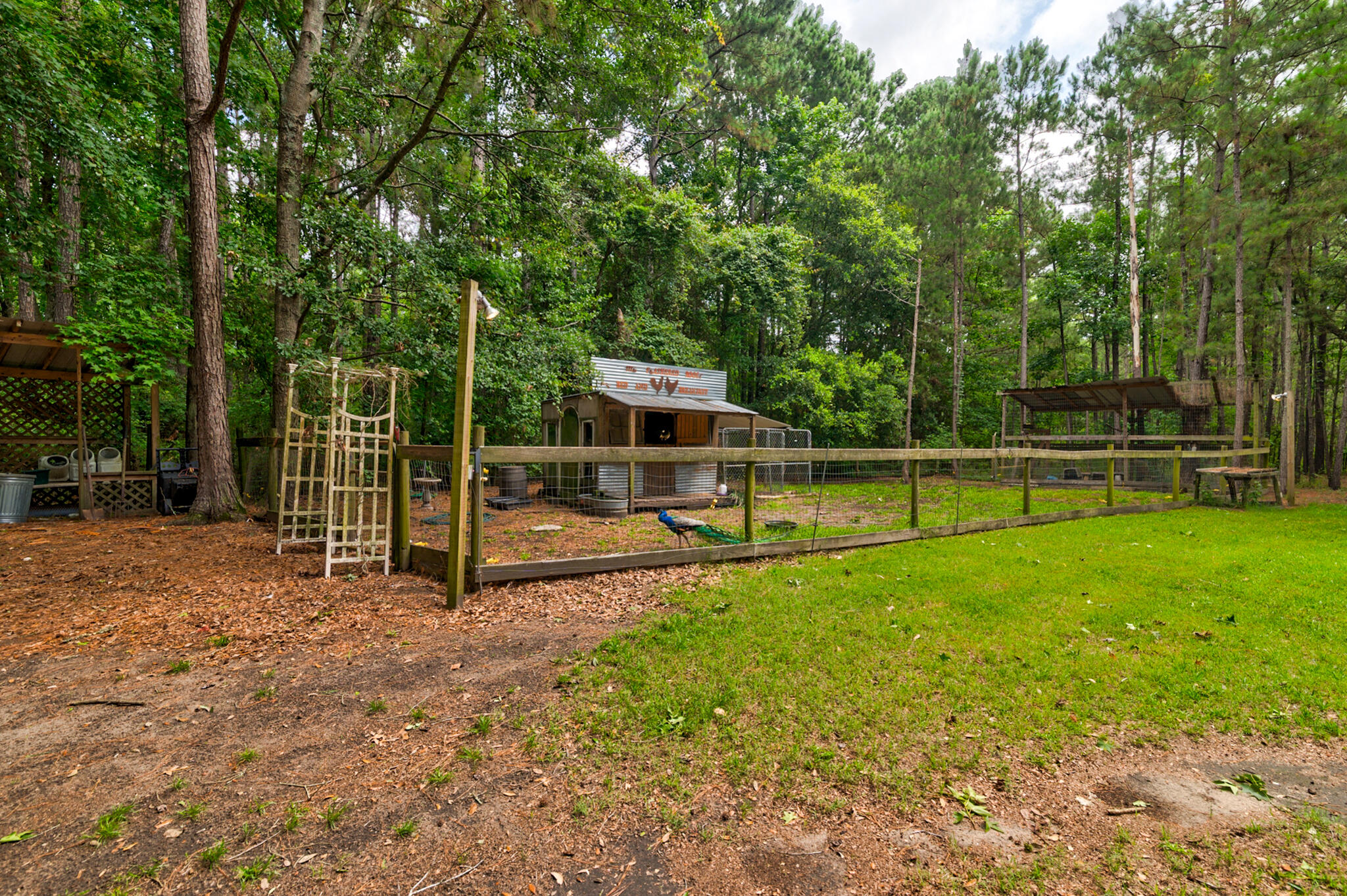 1384 Tibwin Road, McClellanville