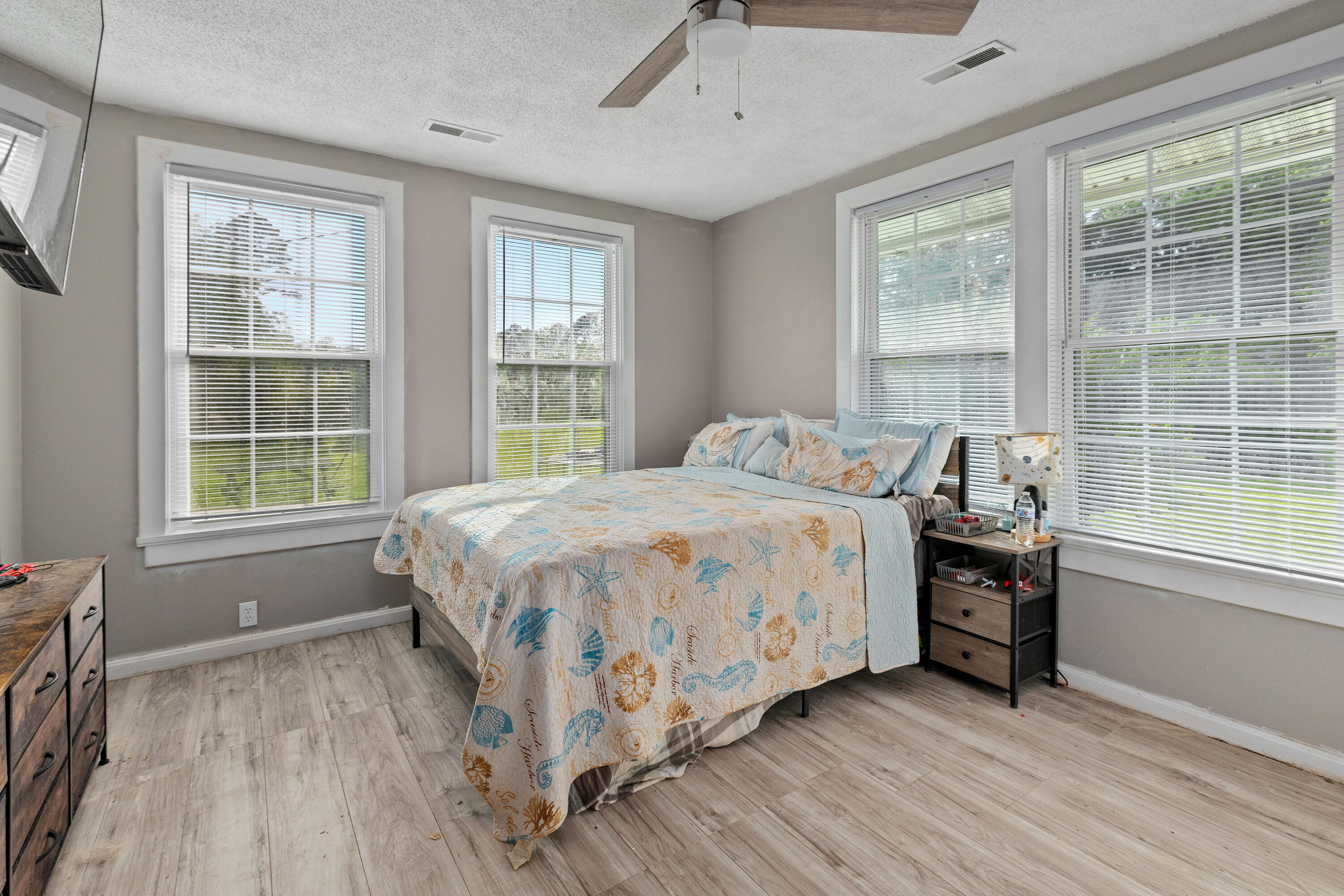 245 Lake Drive, Summerville