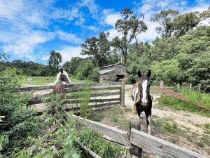 781 Clydeville Lane, Cottageville