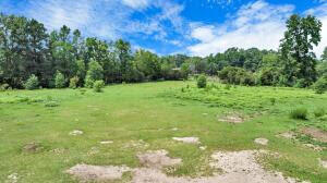 781 Clydeville Lane, Cottageville