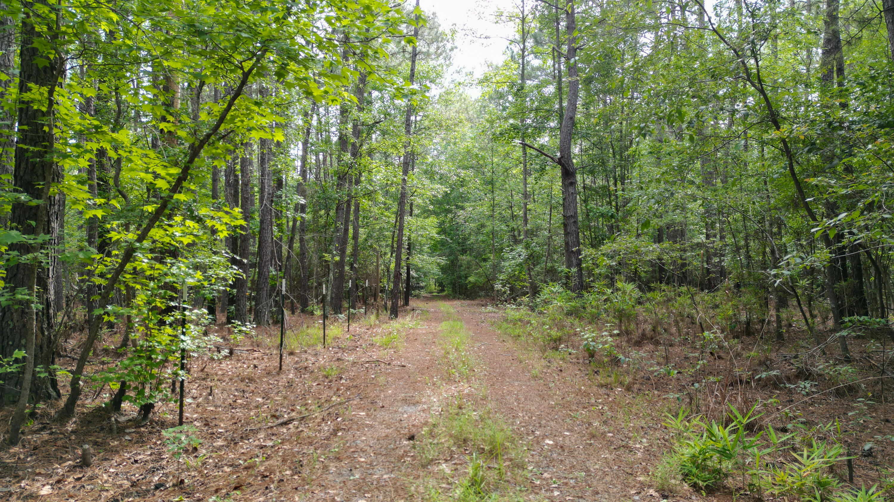 115 Smith Island Trail # B, Bonneau Unit: B