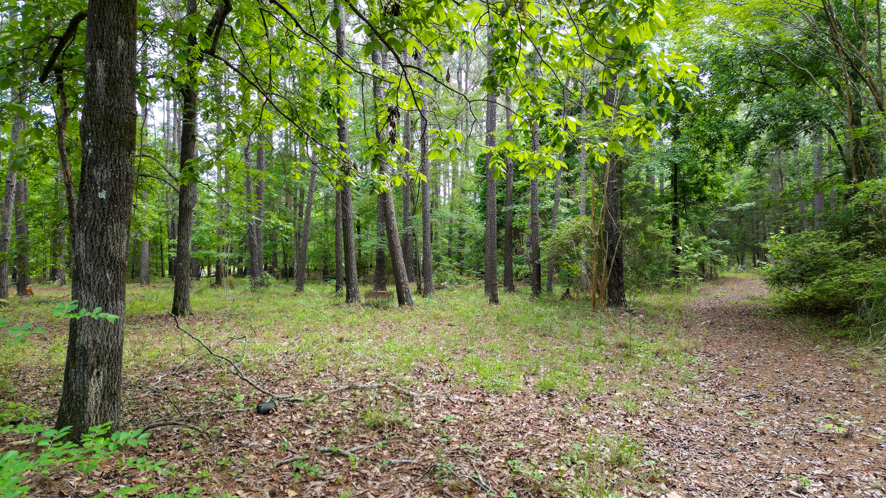 115 Smith Island Trail # B, Bonneau Unit: B