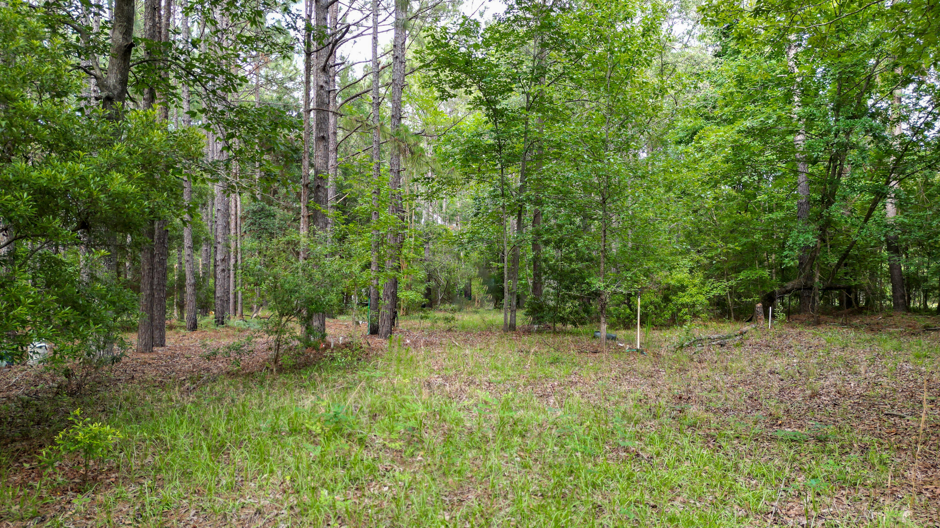 115 Smith Island Trail # B, Bonneau Unit: B