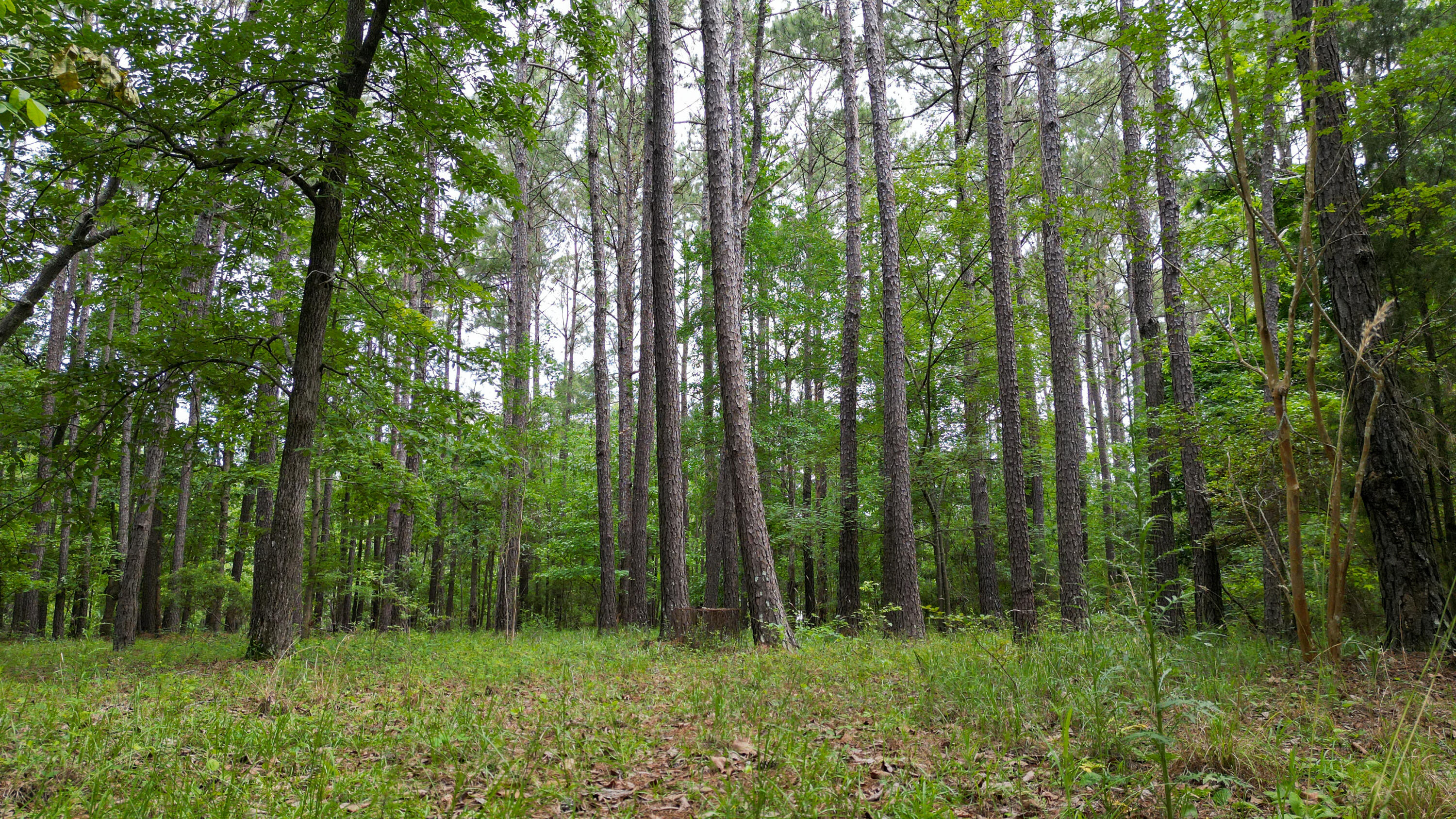 115 Smith Island Trail # B, Bonneau Unit: B