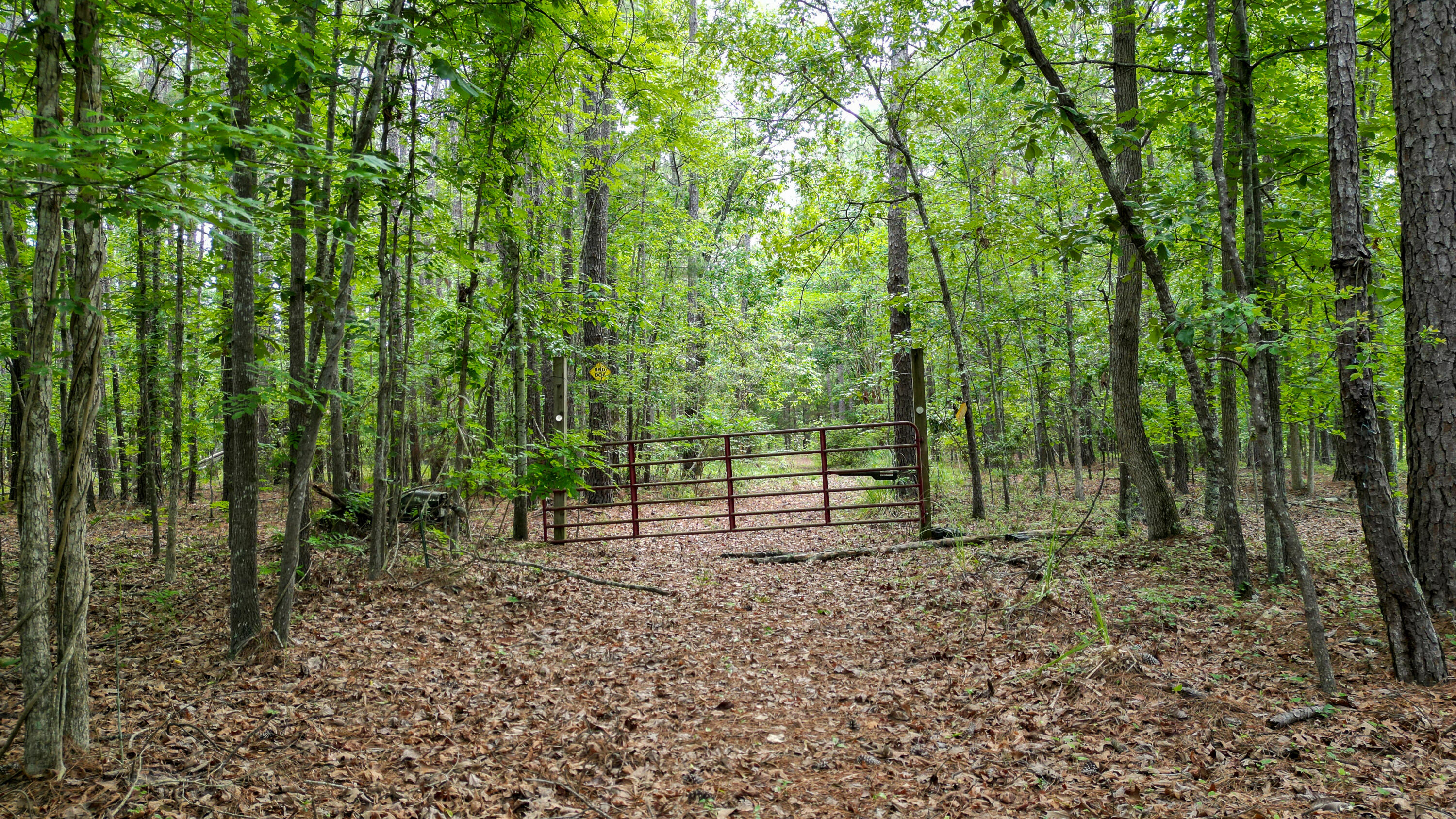 115 Smith Island Trail # B, Bonneau Unit: B