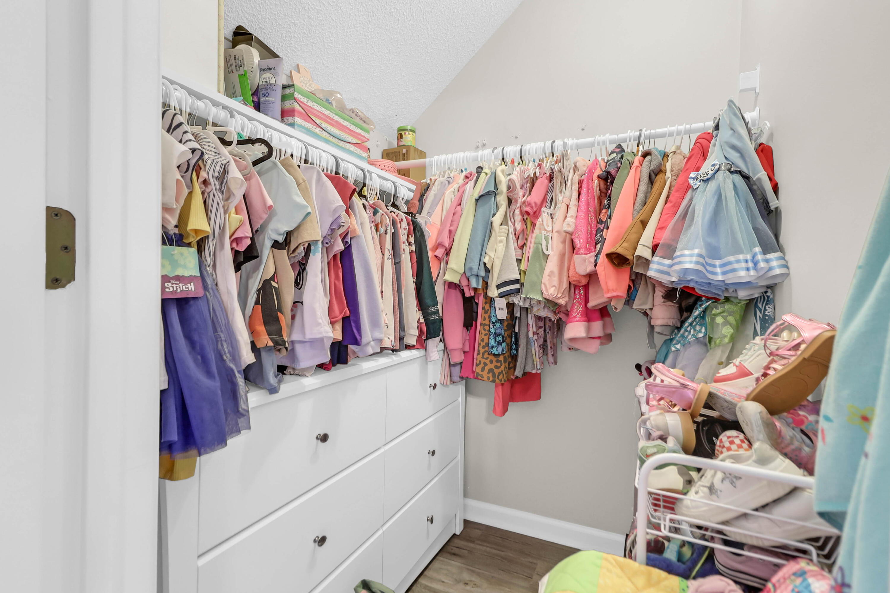 9232 Ayscough Road, Summerville