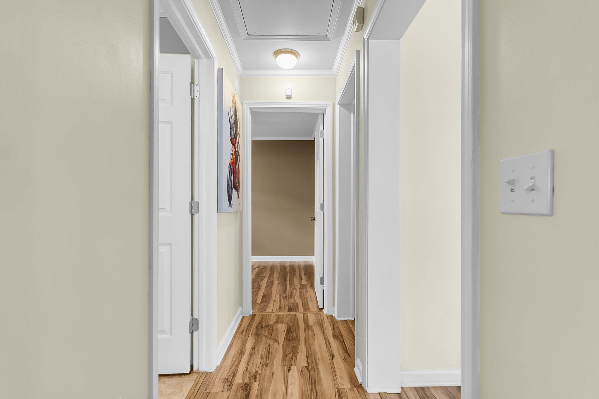 916 Hillsboro Drive, Charleston