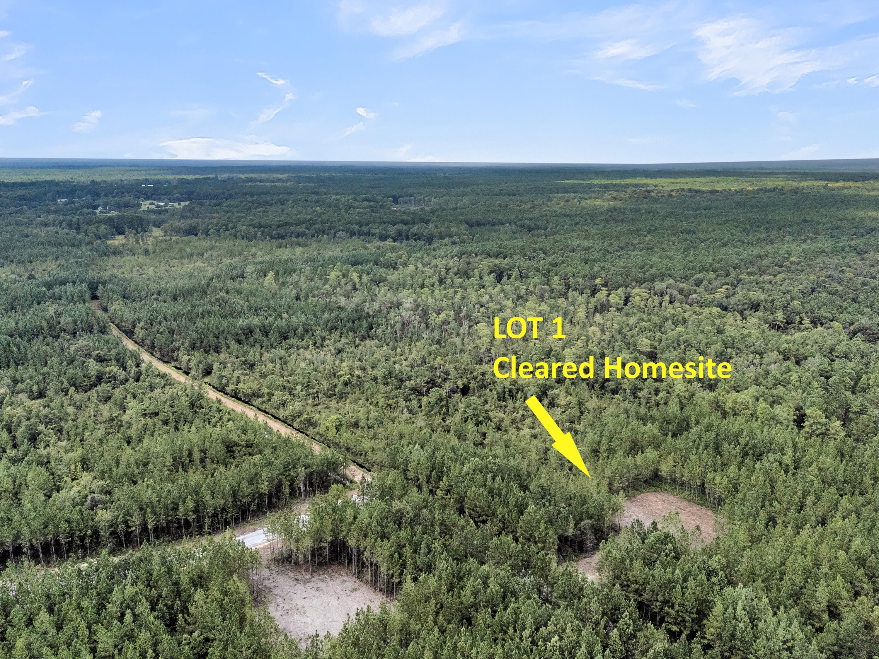 Lot 1 Silas Road, McClellanville