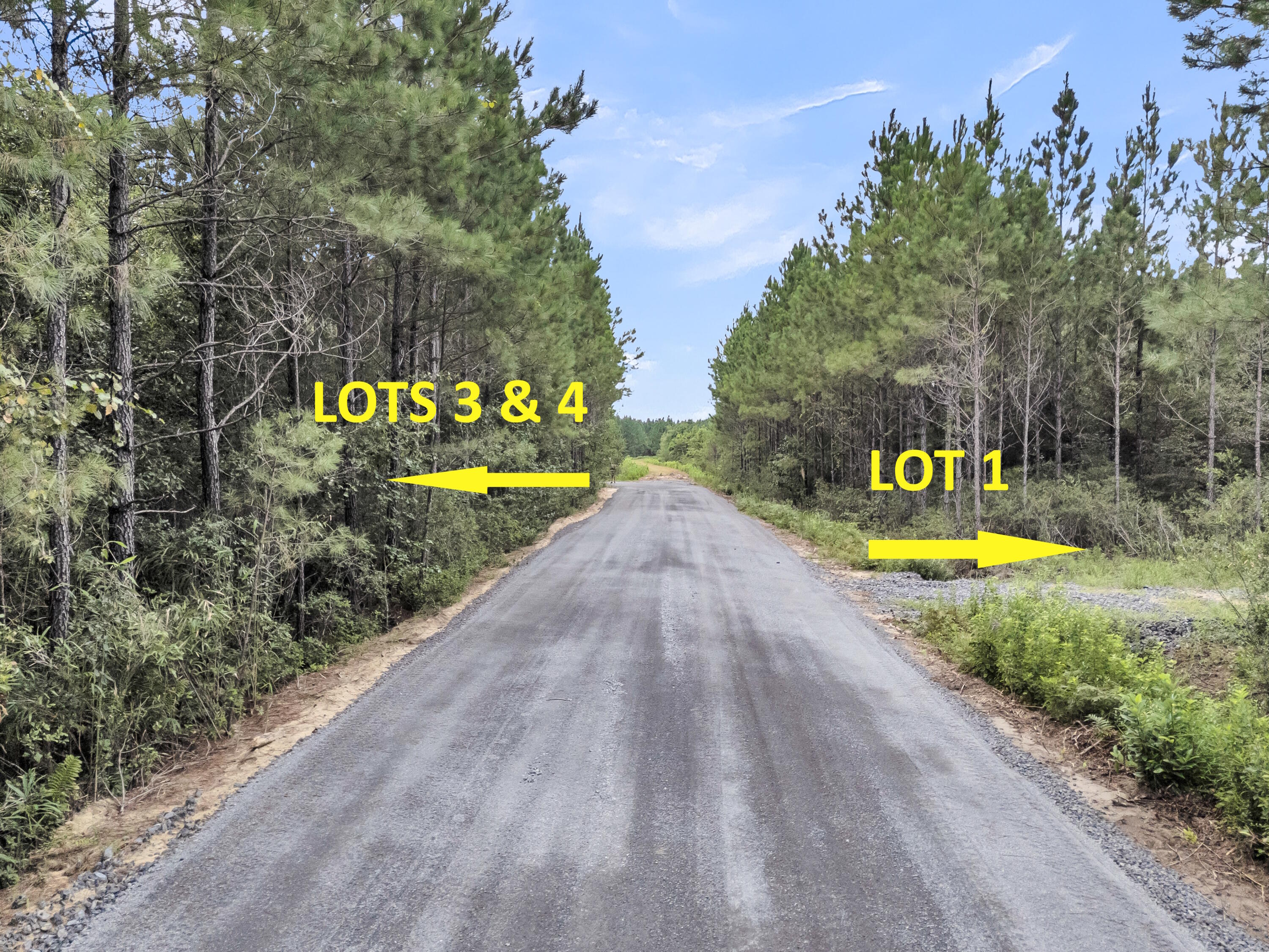 Lot 1 Silas Road, McClellanville
