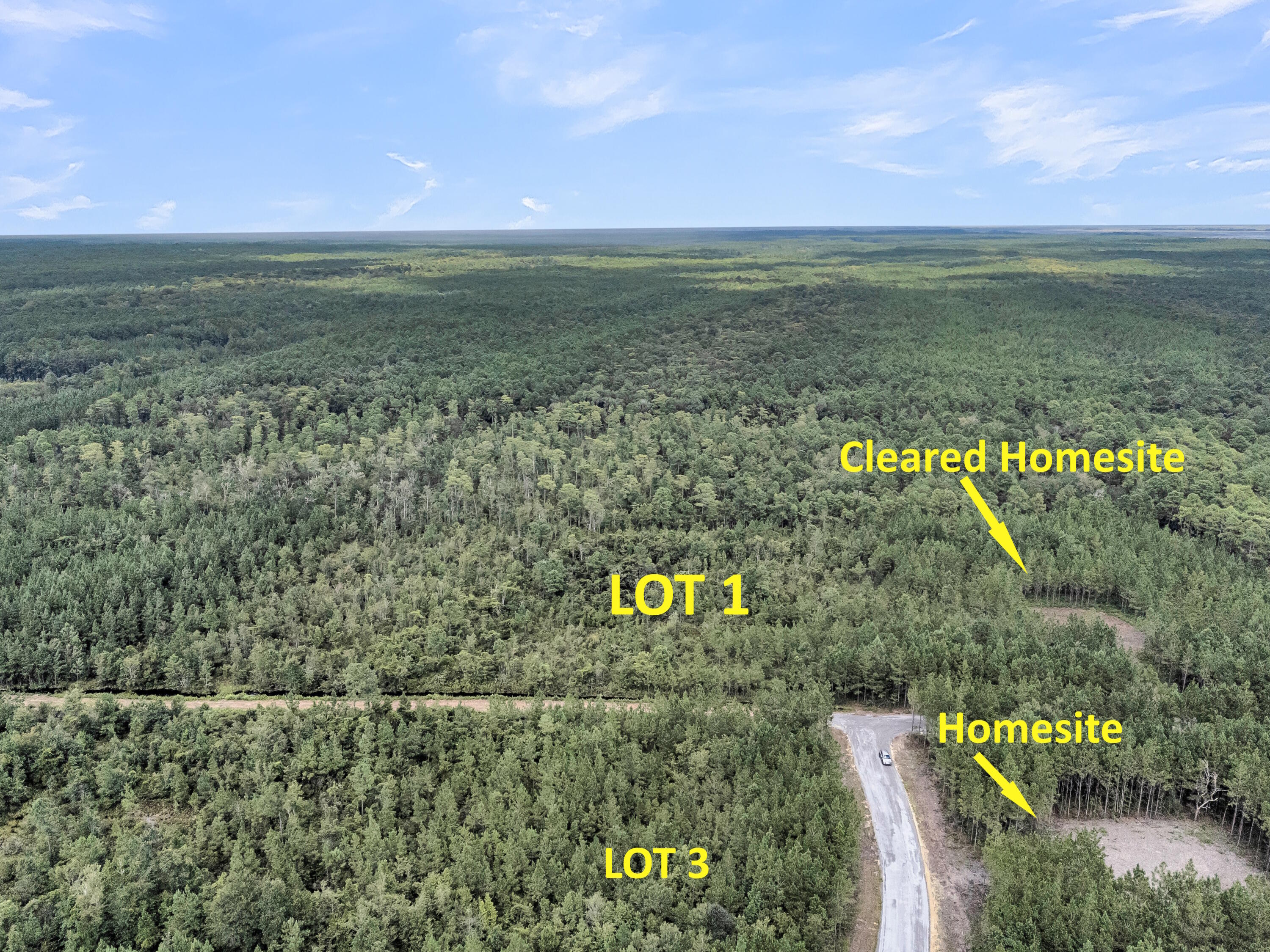 Lot 1 Silas Road, McClellanville