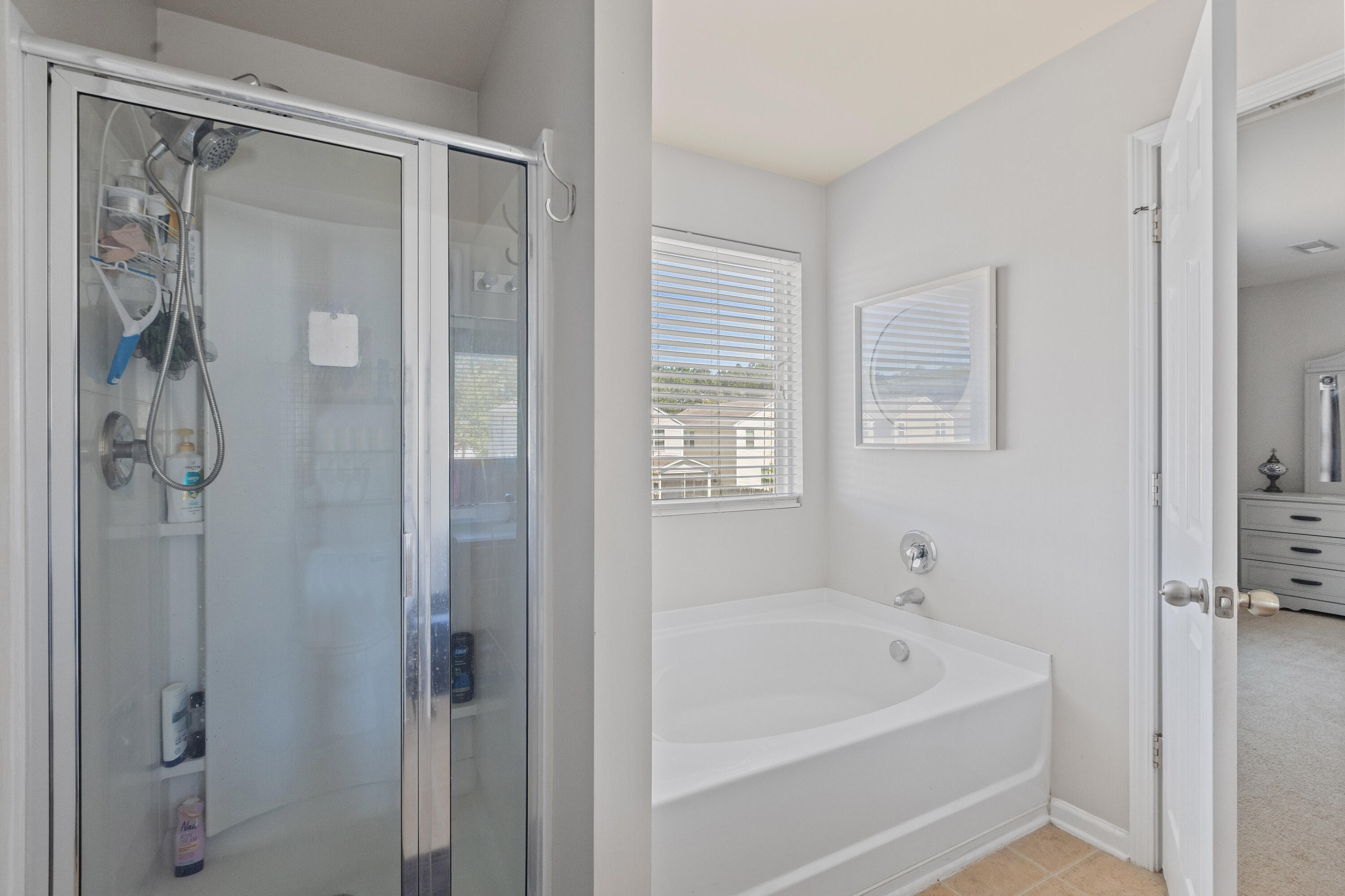 338 Peters Creek Drive, Summerville