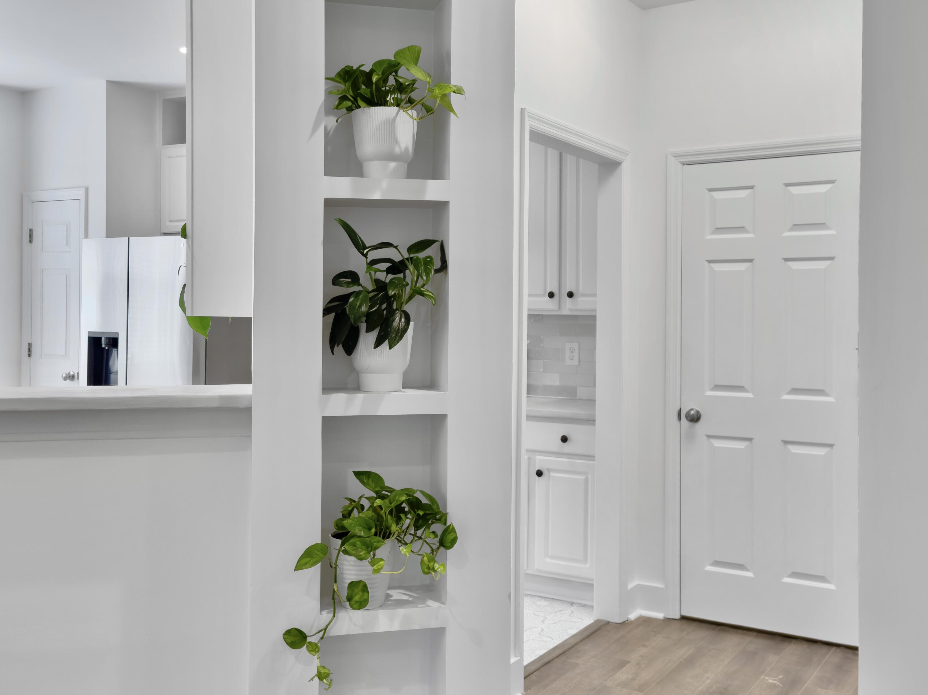 1340 Wild Olive Drive