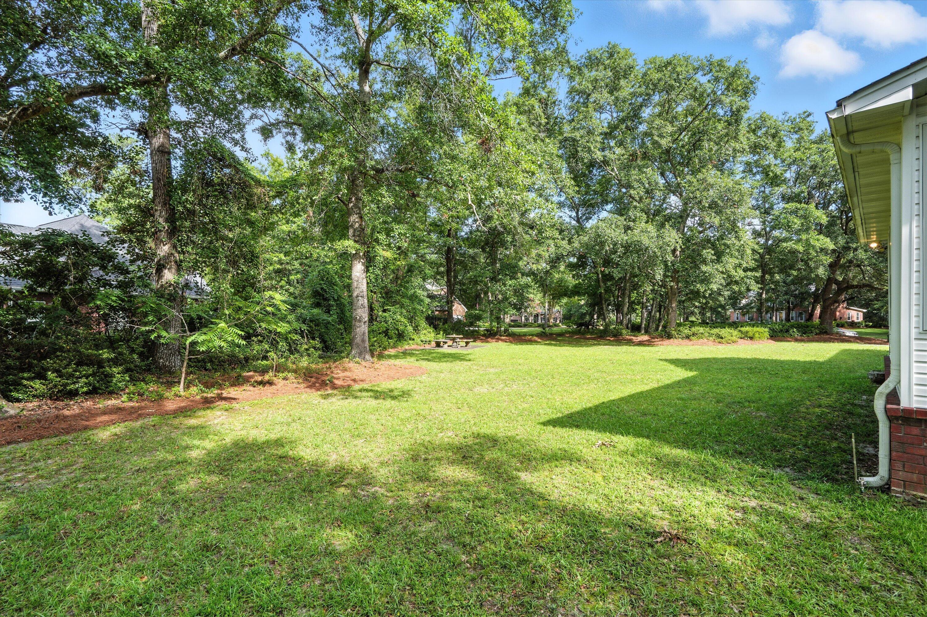 160 Scalybark Road, Summerville