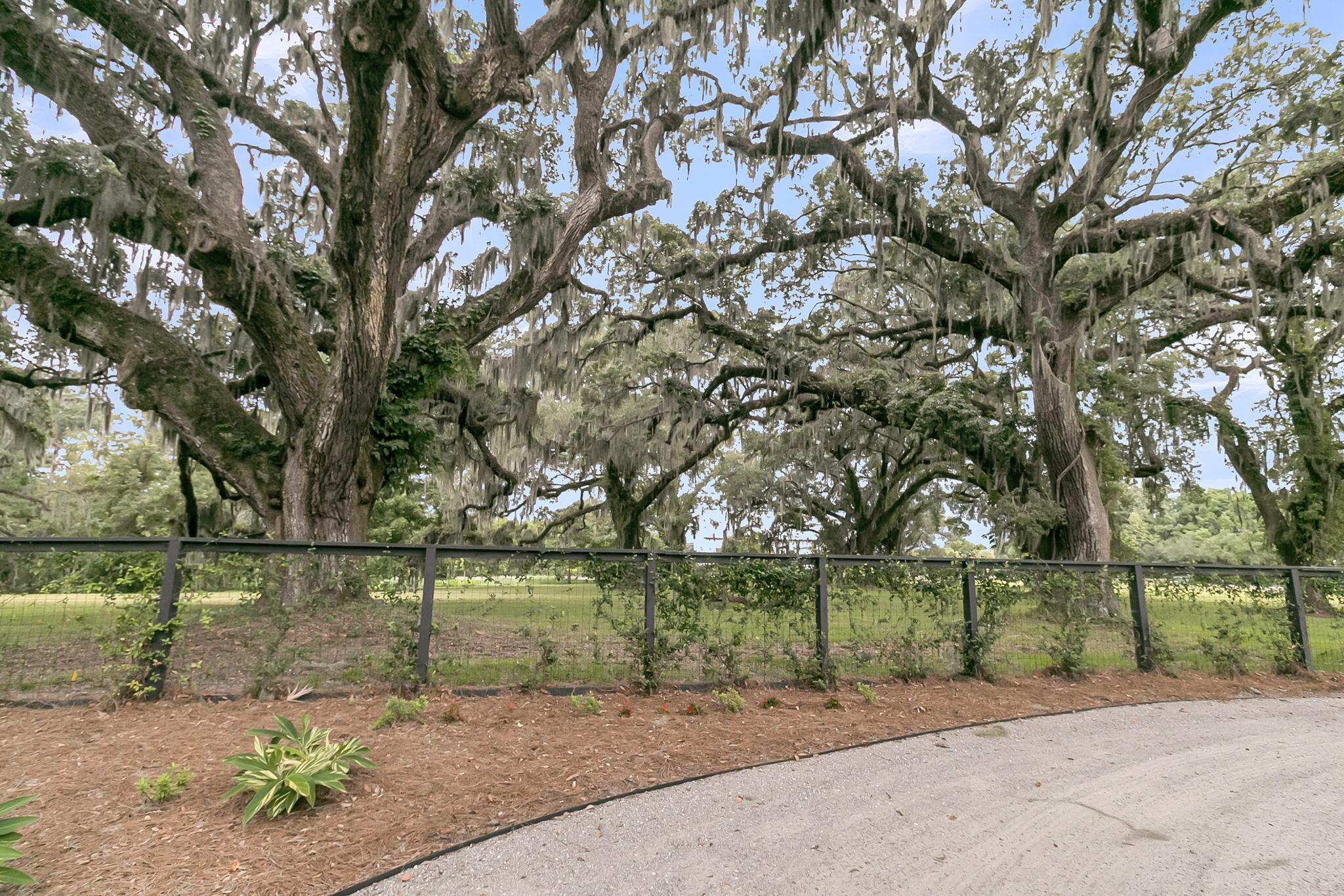 108 Fairbanks Oak Alley # 402, Charleston Unit: 402