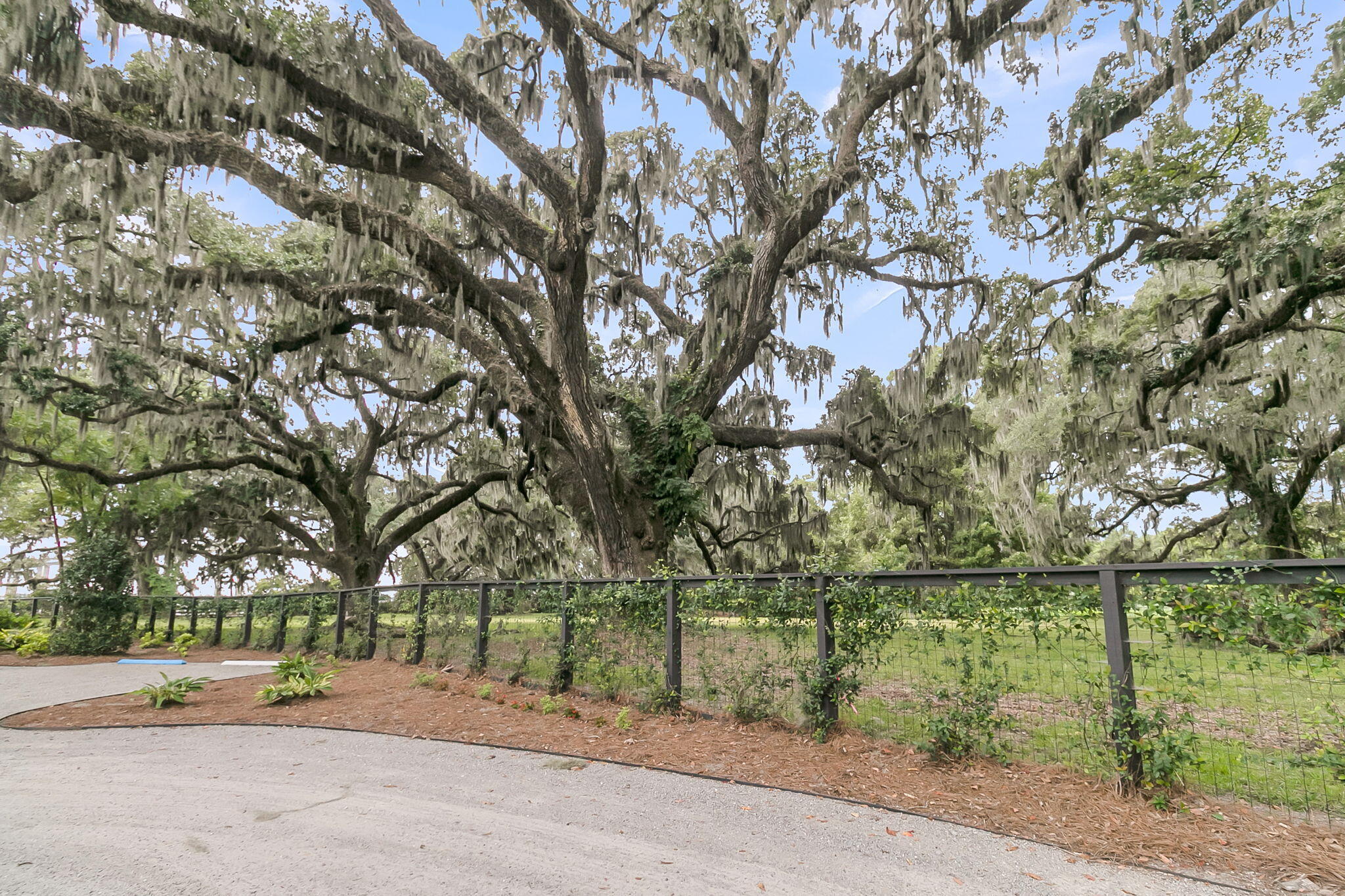 108 Fairbanks Oak Alley # 402, Charleston Unit: 402