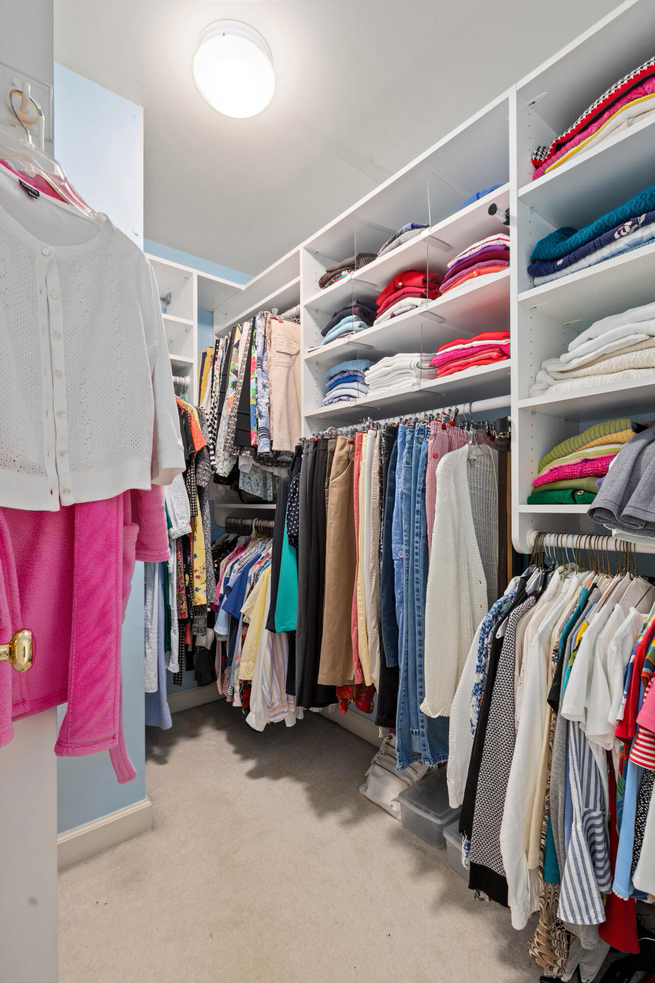 1023 Black Rush Circle