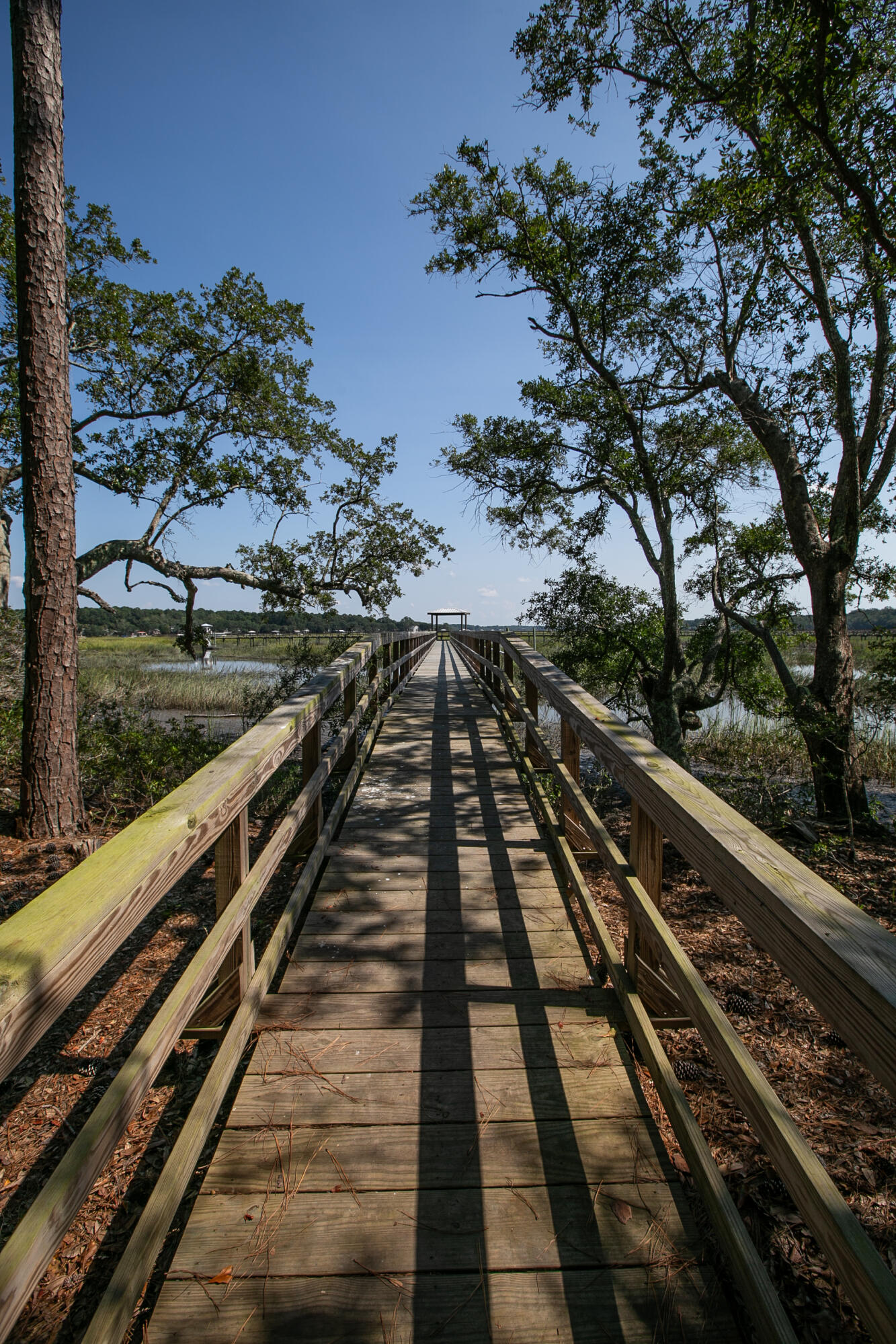 3894 Sawyers Island Drive, Mount Pleasant