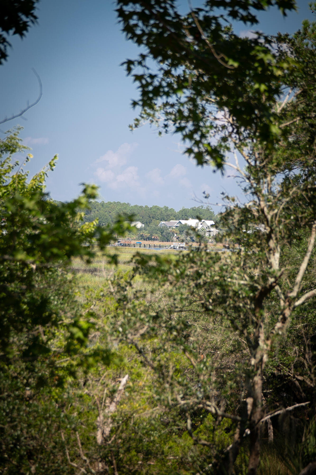 3894 Sawyers Island Drive, Mount Pleasant