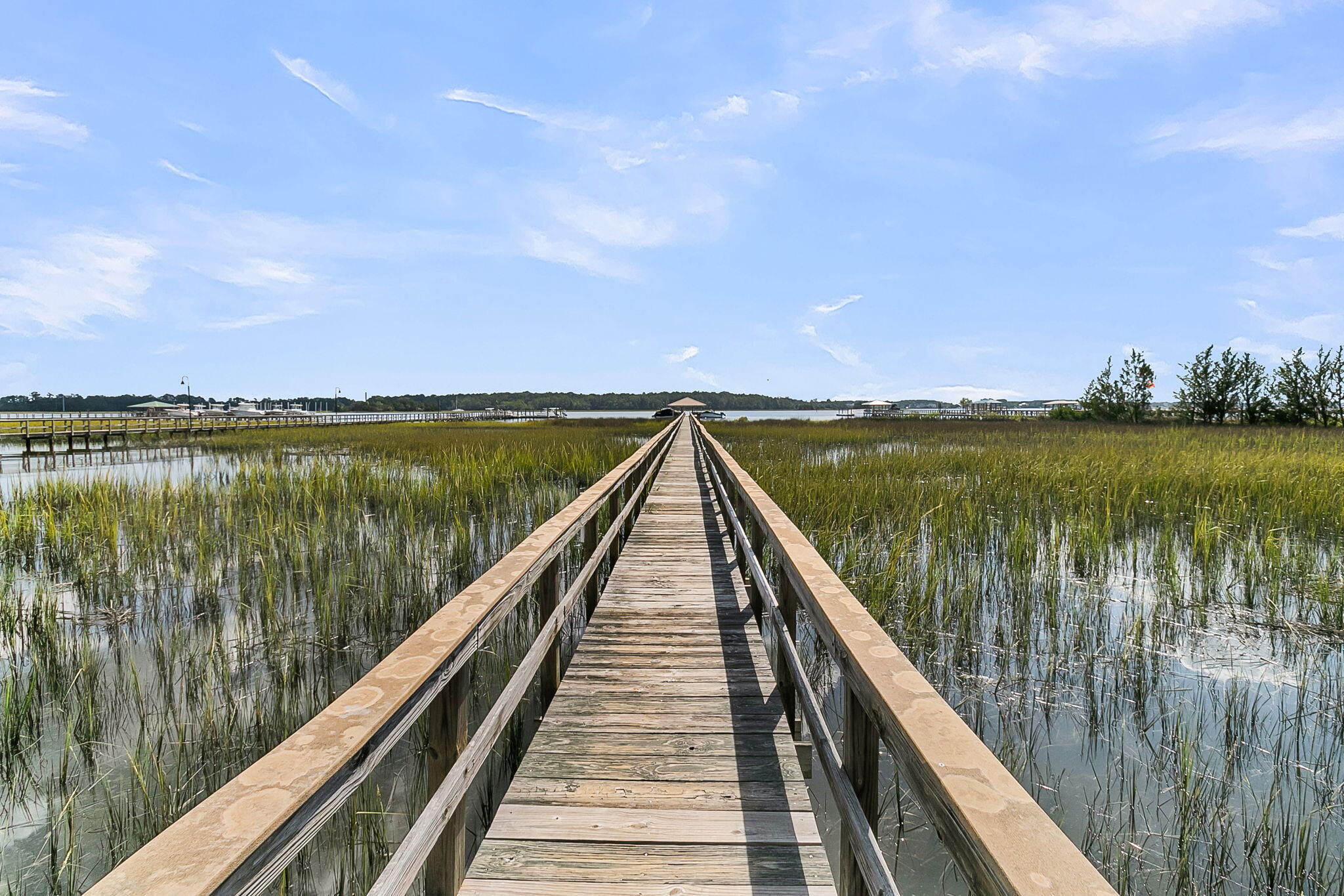 1185 Rivers Reach Drive, Wando