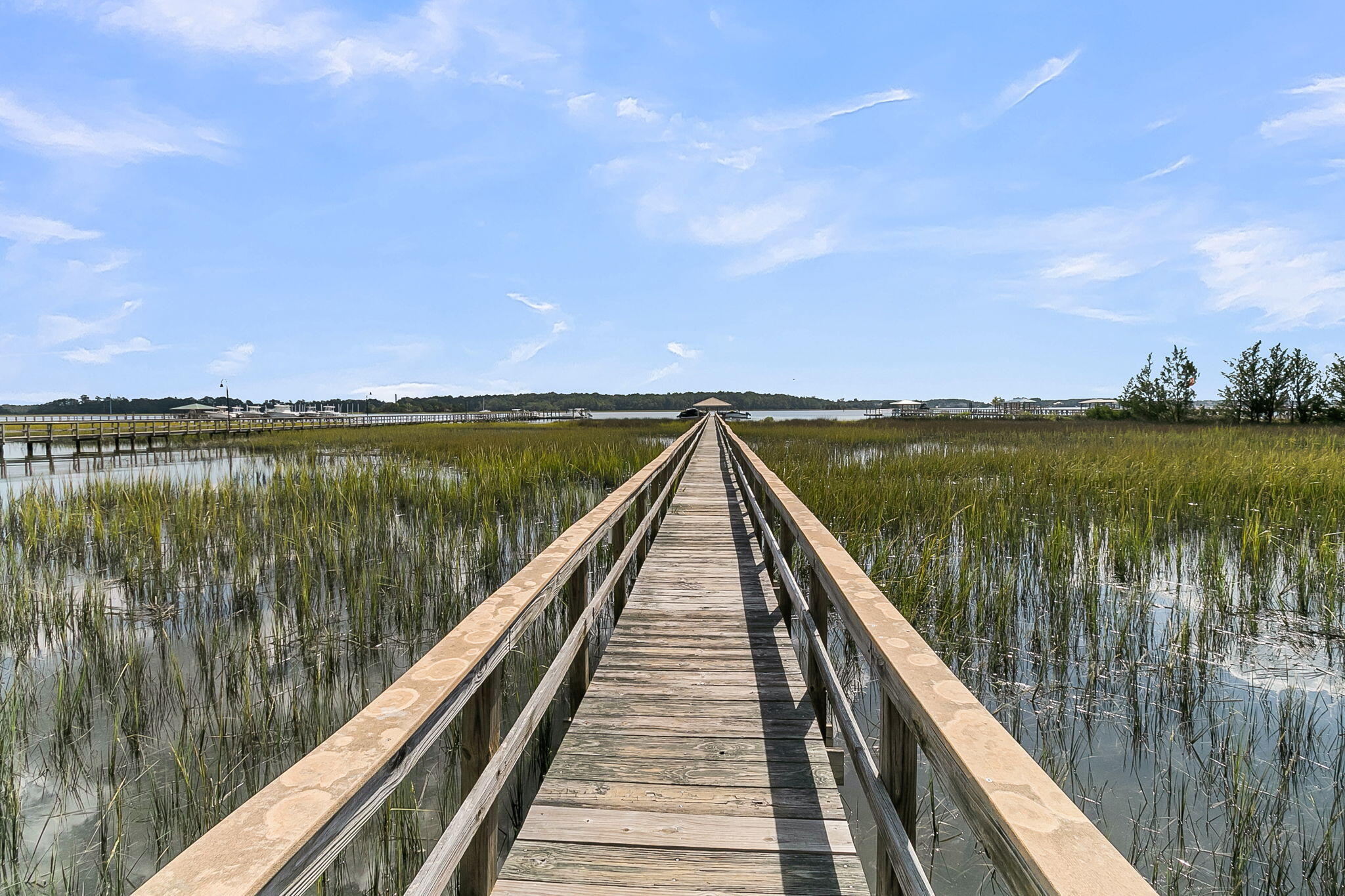 1185 Rivers Reach Drive, Wando