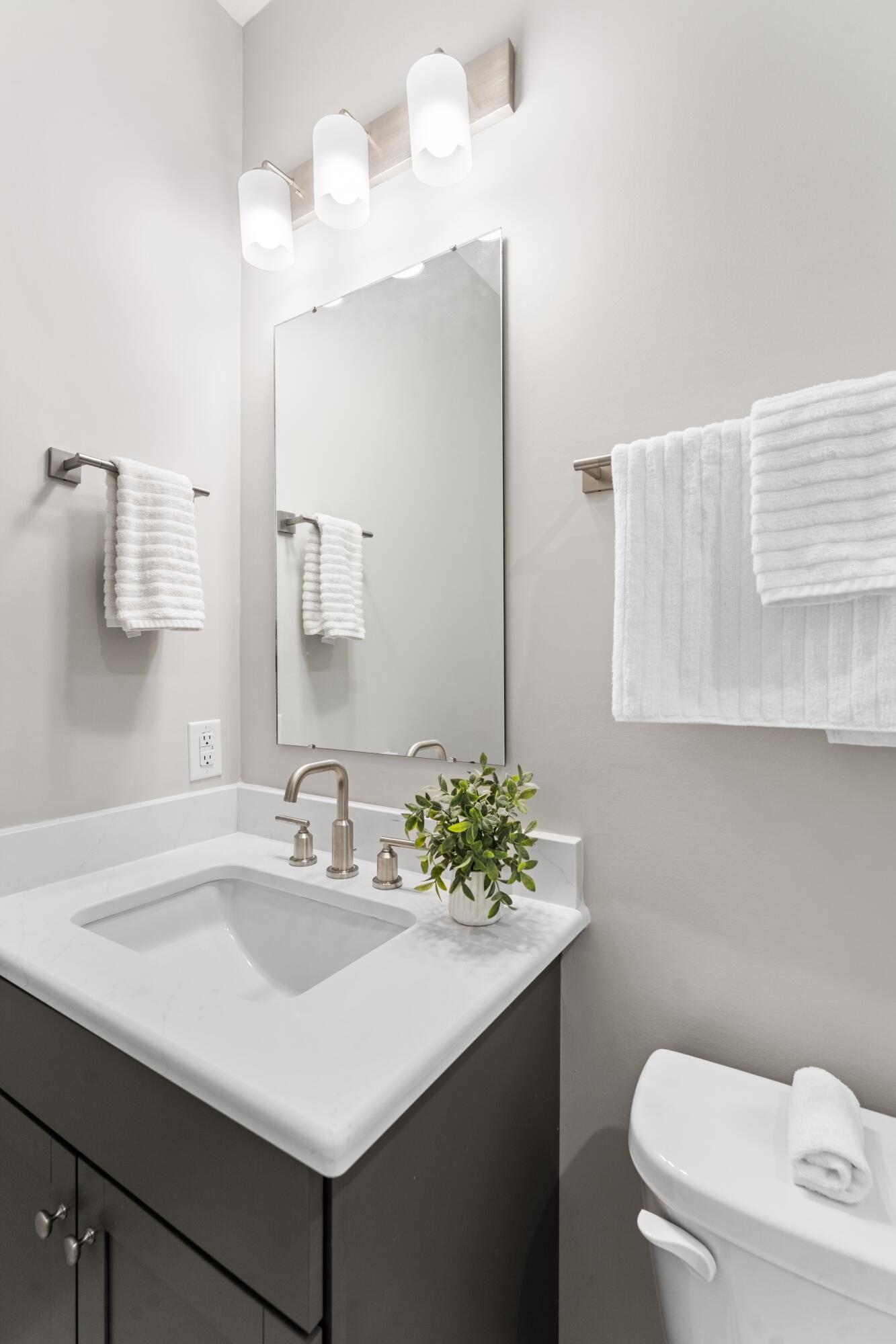 119 Leeward Landing, Summerville