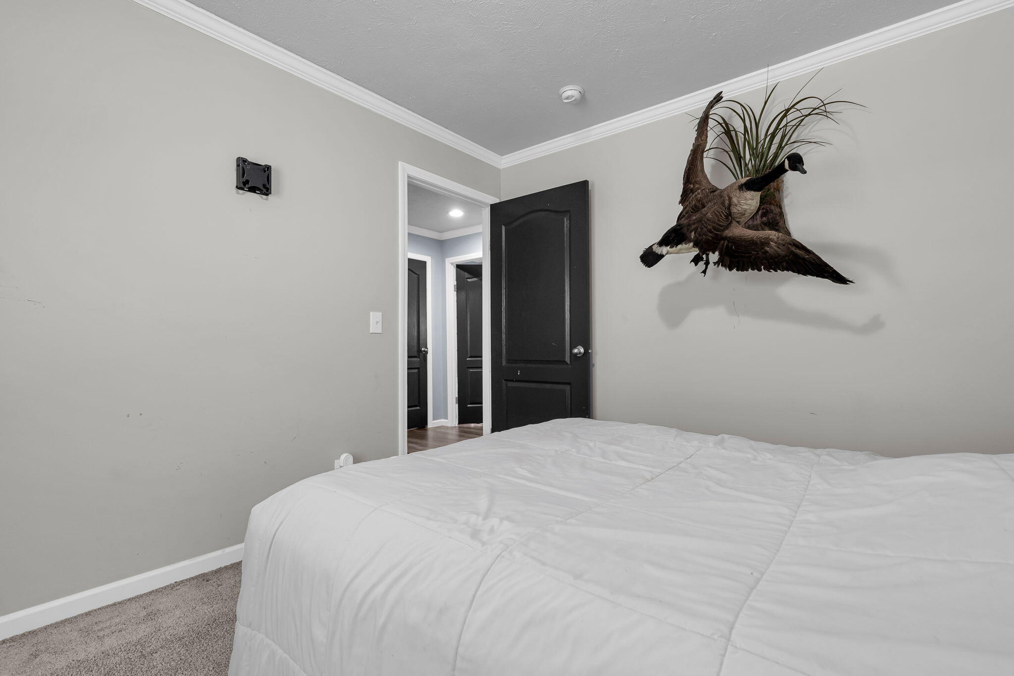 164 Riva Ridge Lane