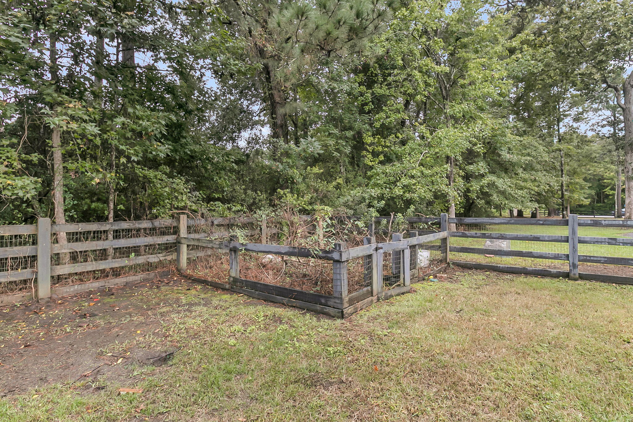 3509 War Admiral Court