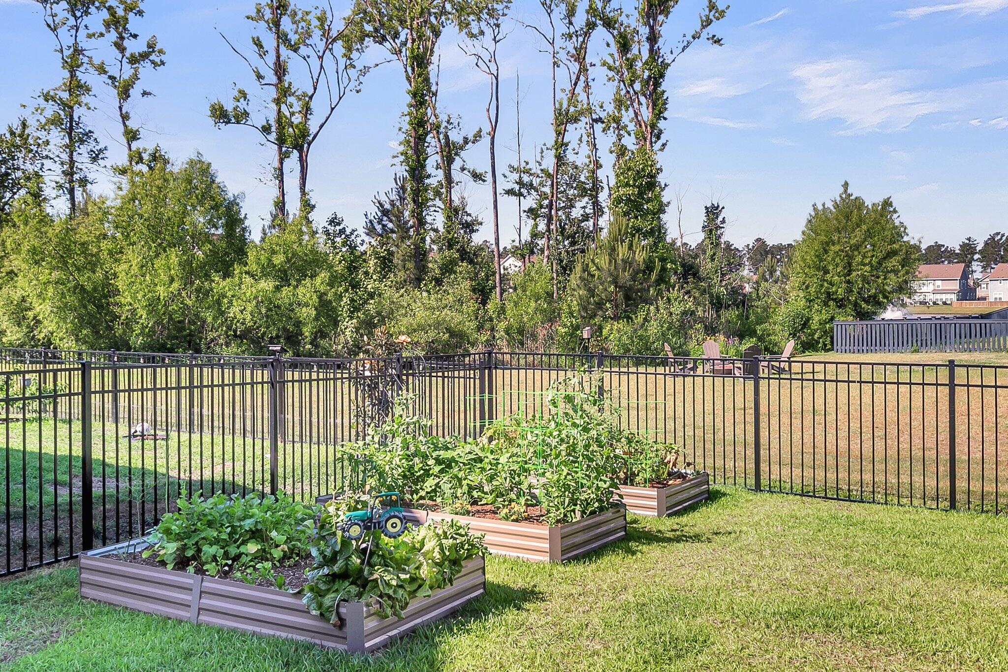 185 Whaler Avenue, Summerville