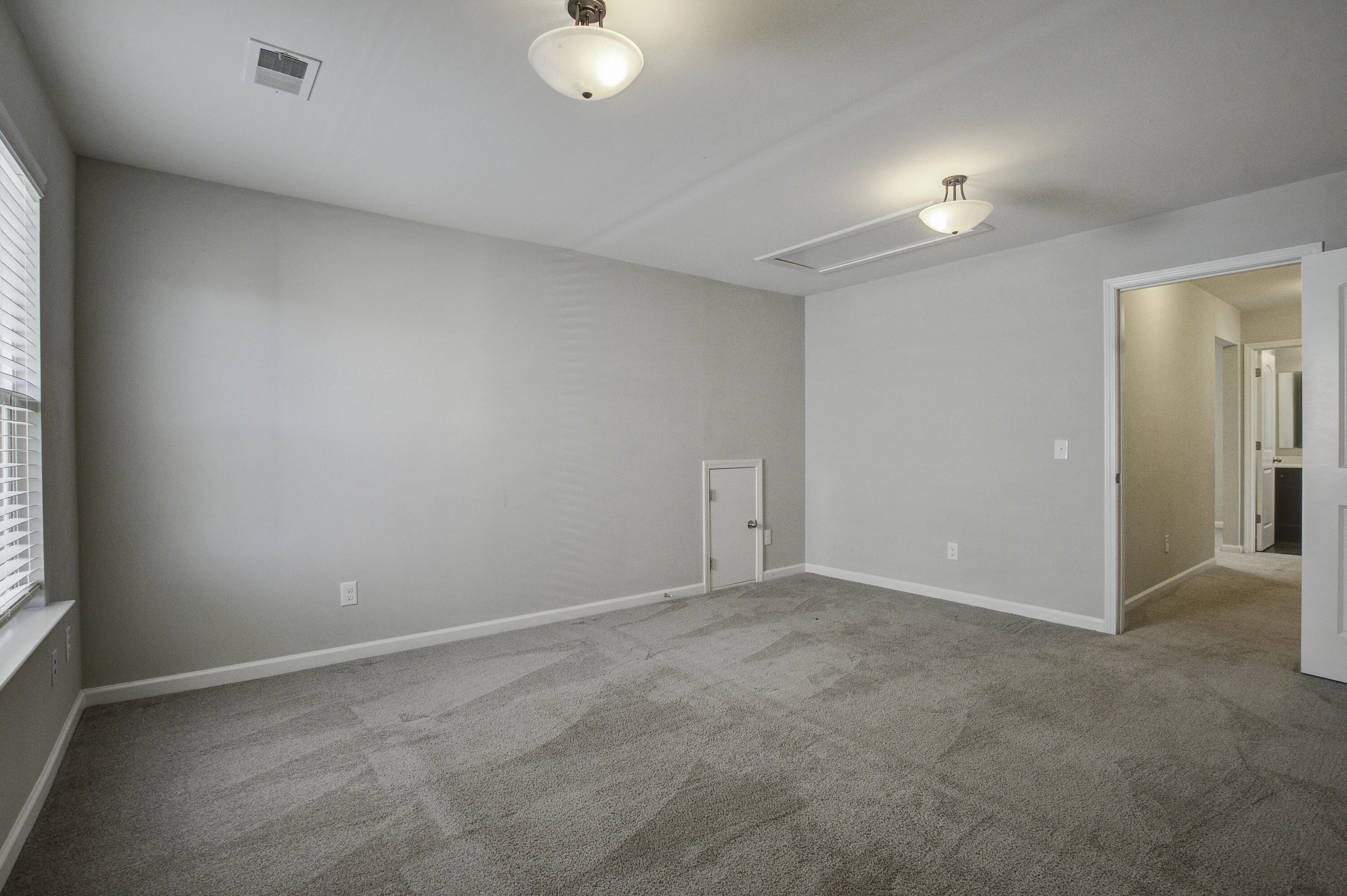 415 Snowy Plover Lane, Summerville