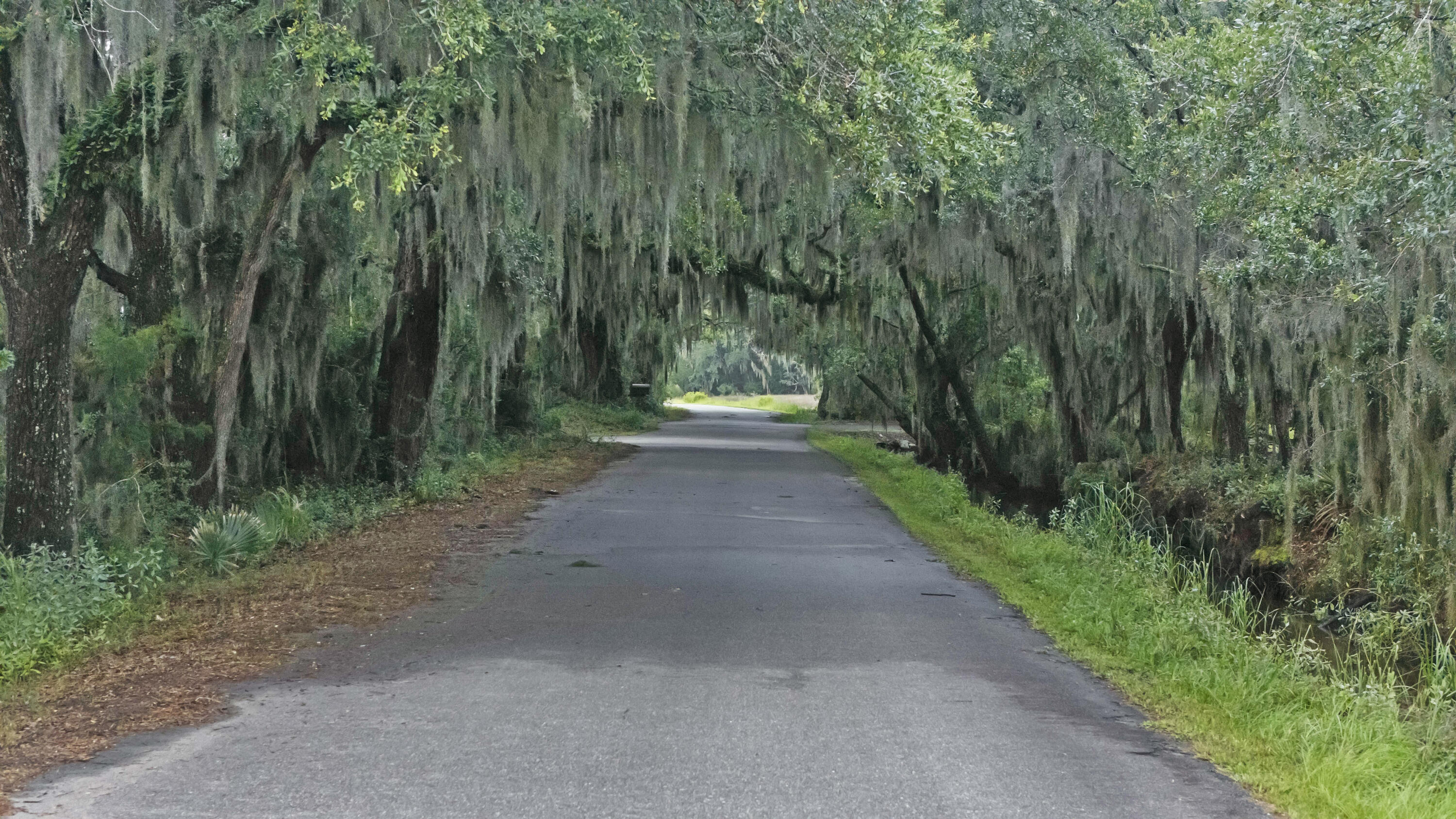 0 Coon Club Road, Meggett