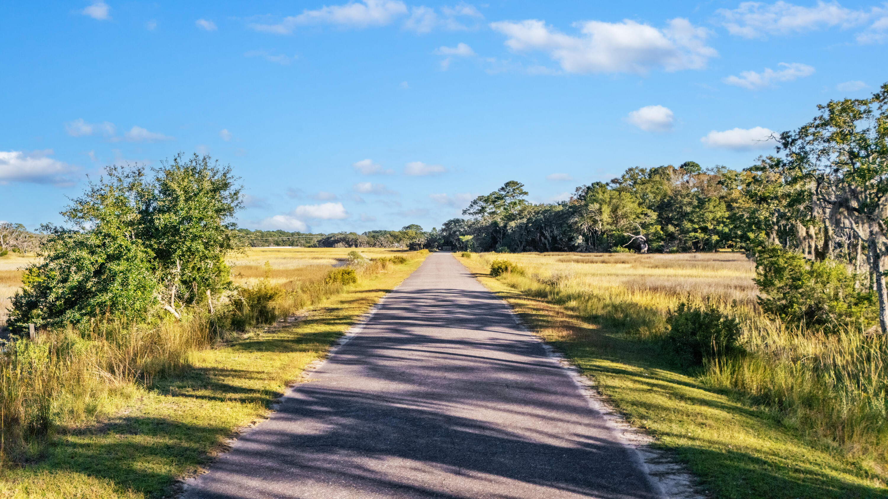 0 Coon Club Road, Meggett