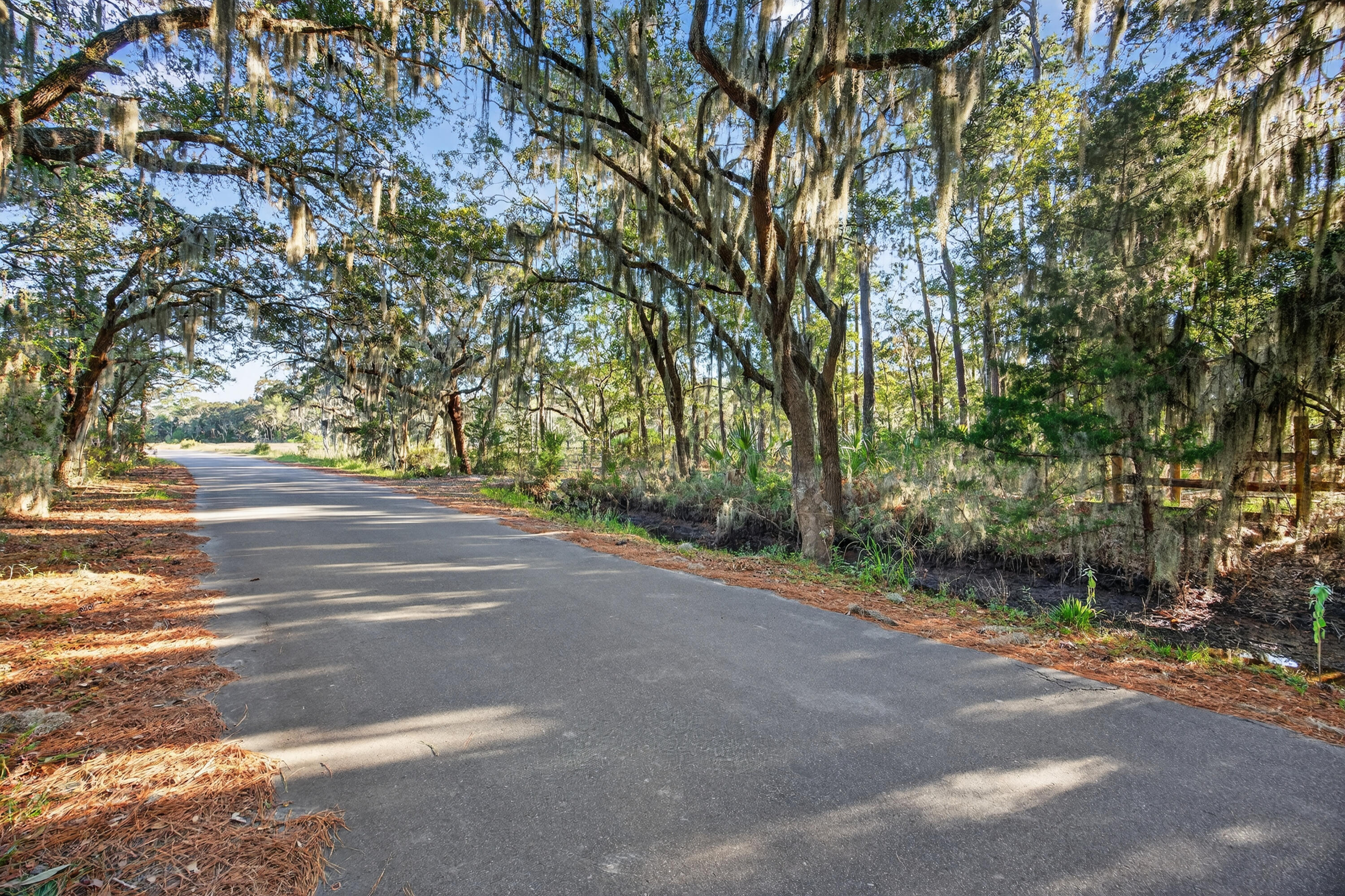 0 Coon Club Road, Meggett