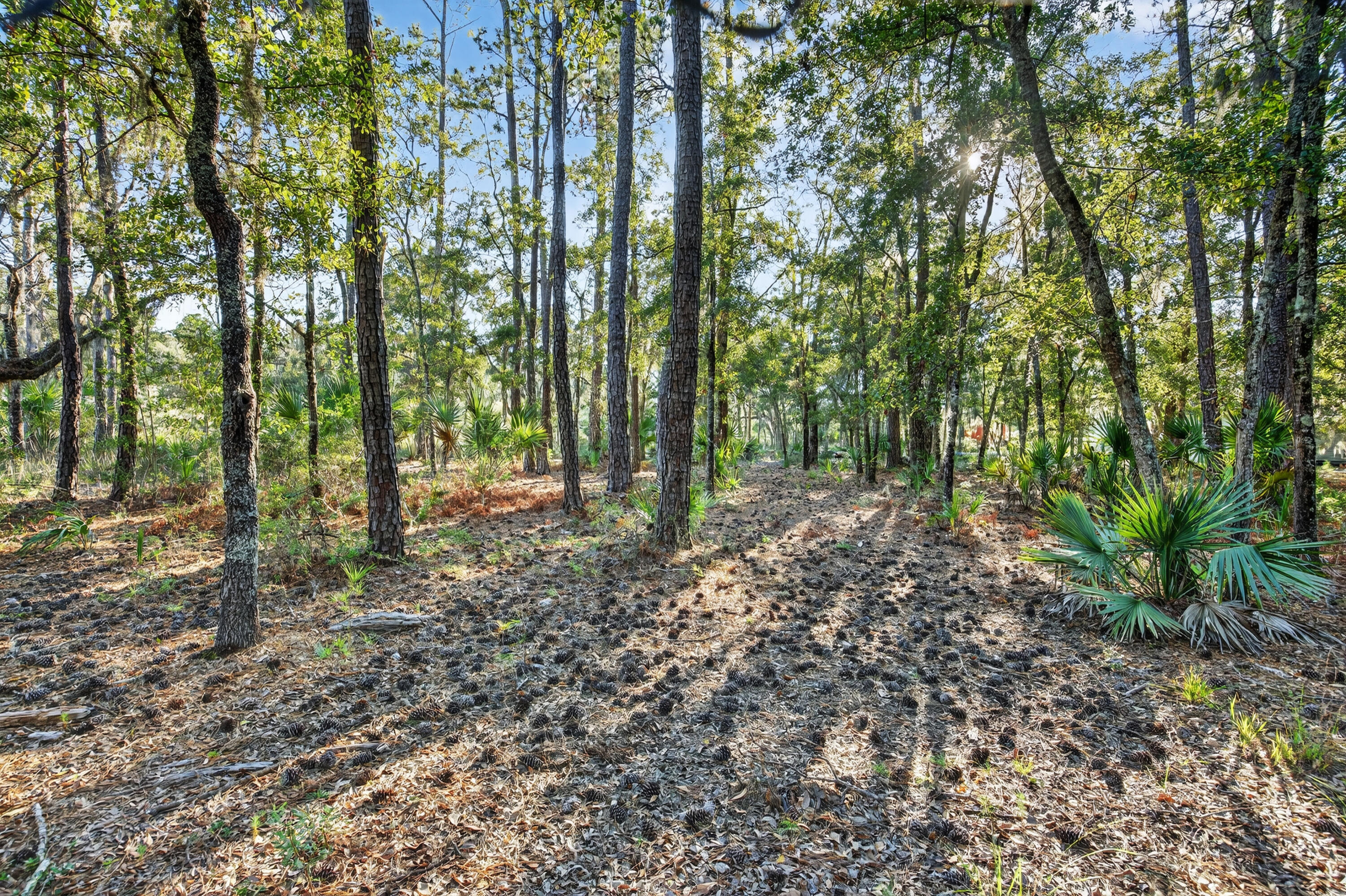 0 Coon Club Road, Meggett