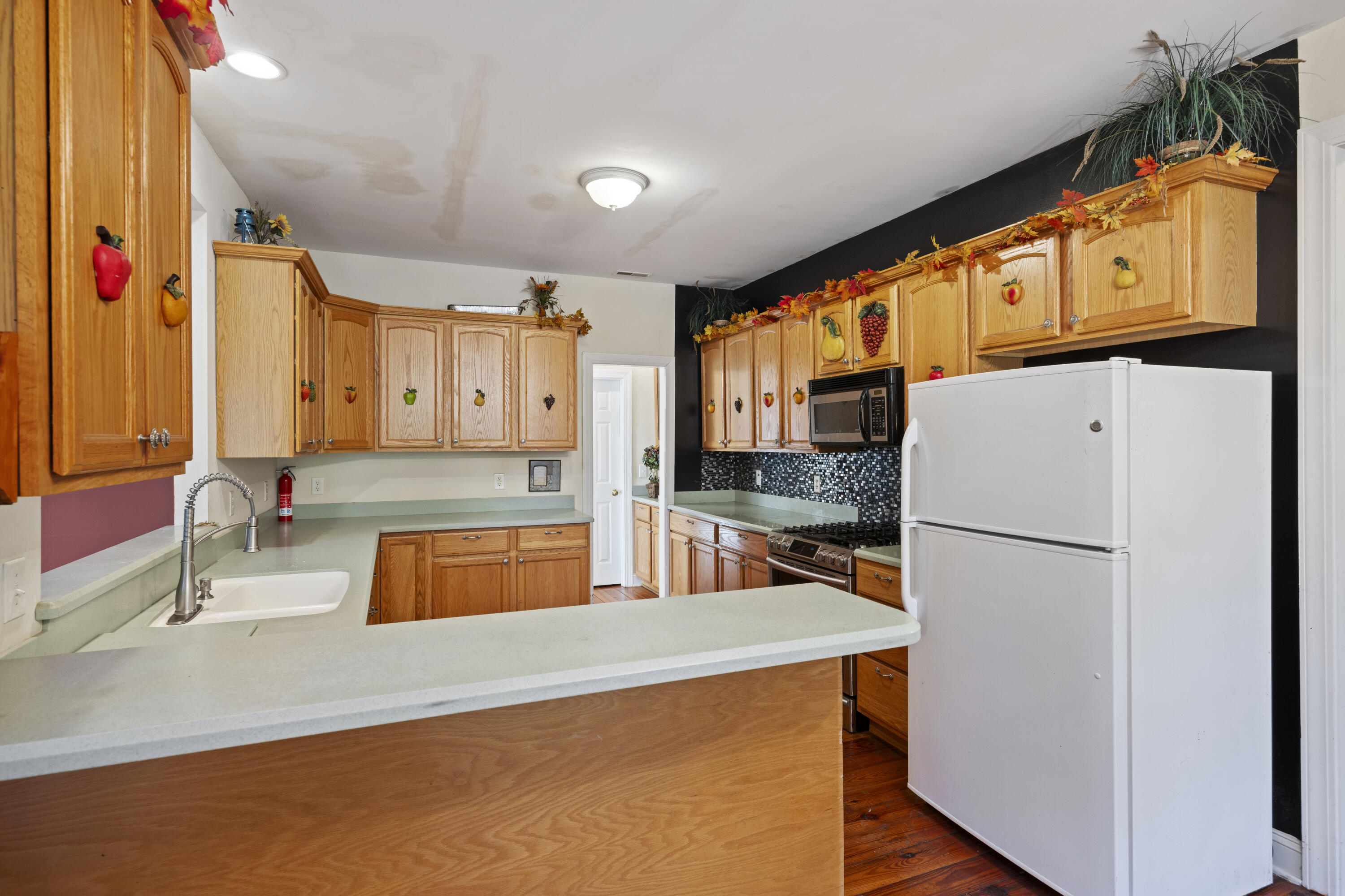 113 Twisted Oak Trail, Elloree