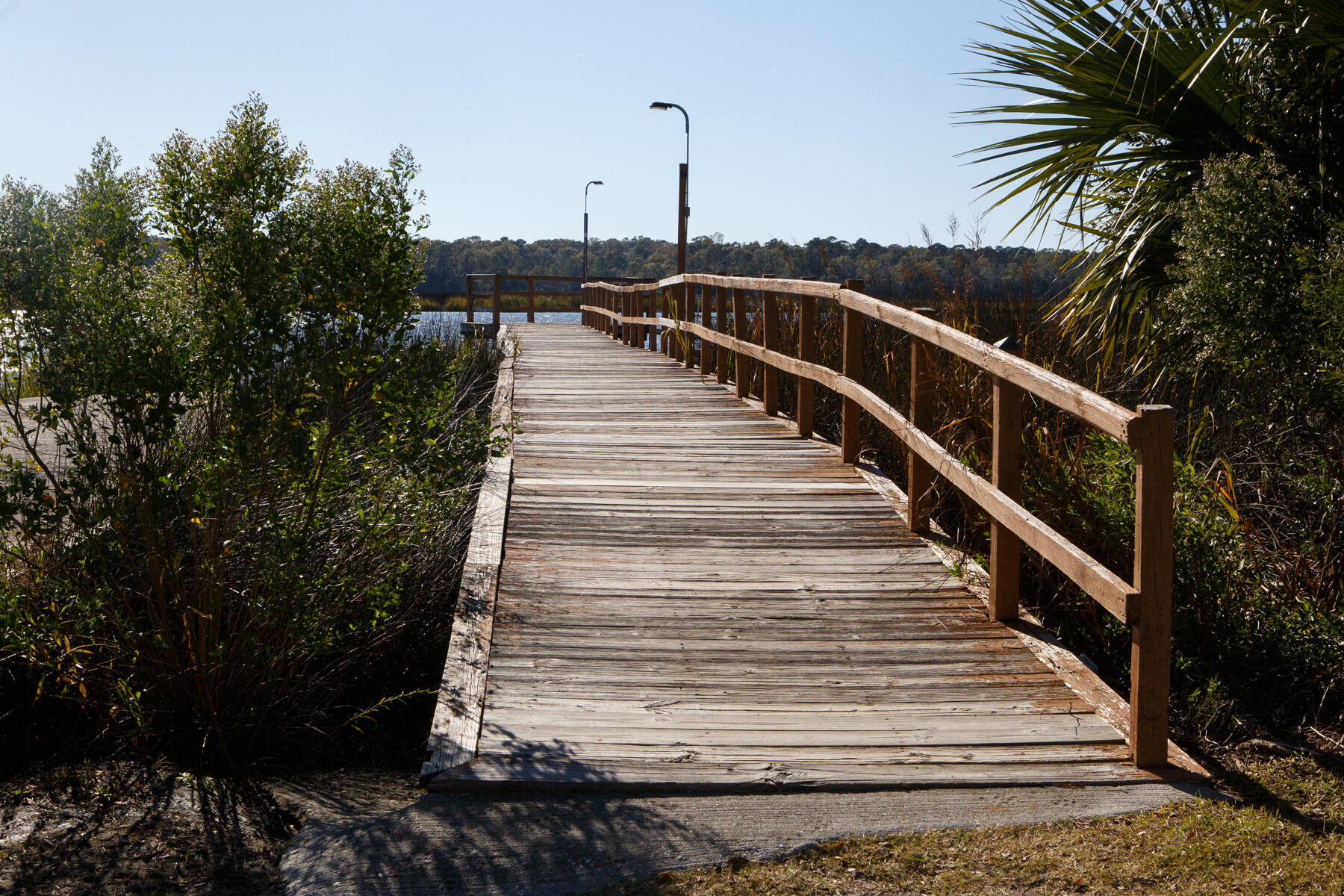 4509 Great Oak Drive