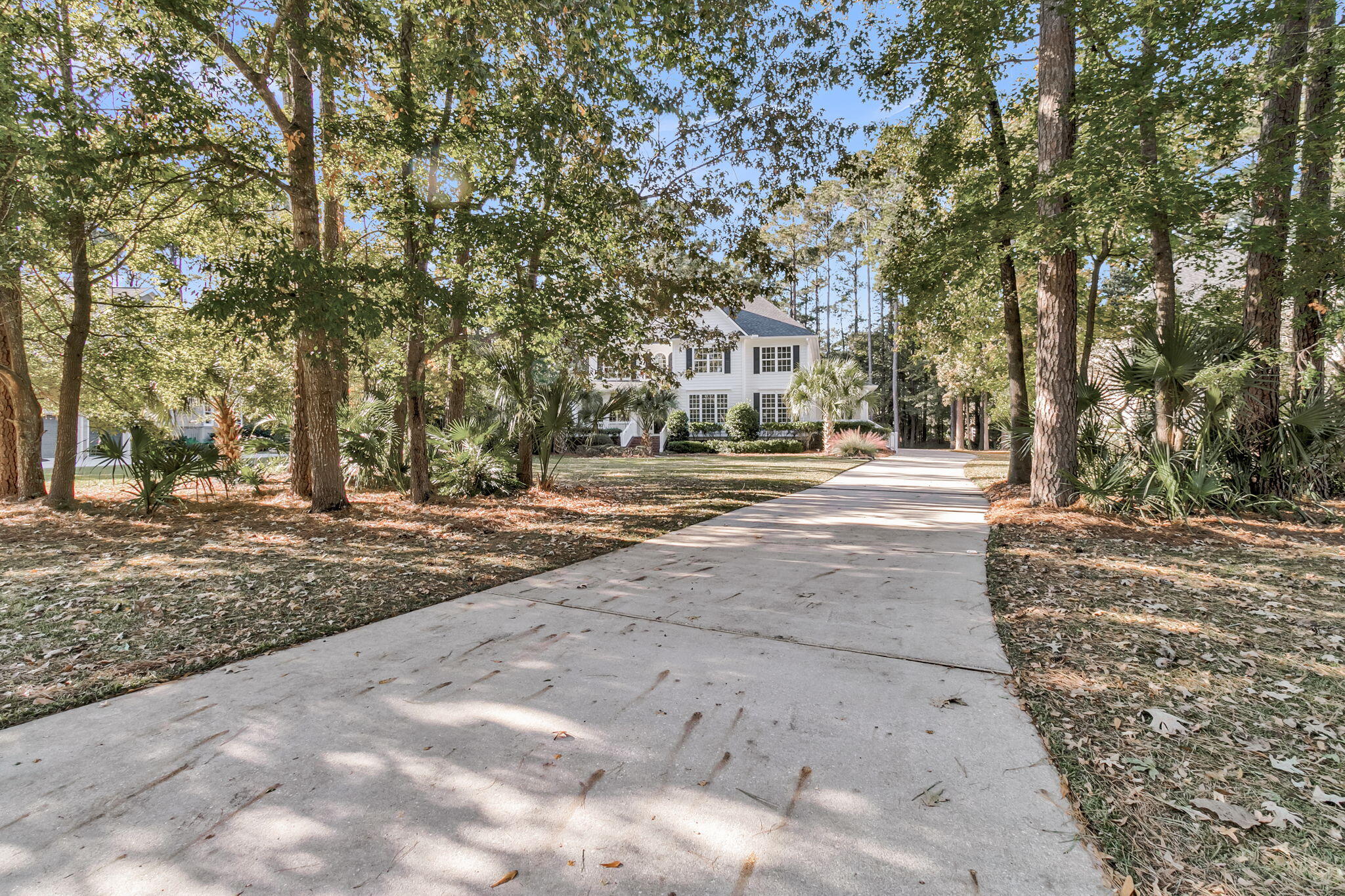2429 Darts Cove Way