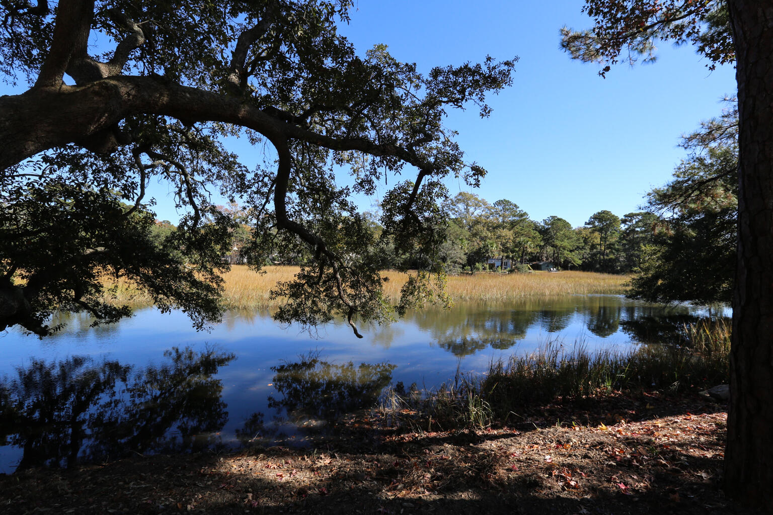 58 Indigo Point Drive