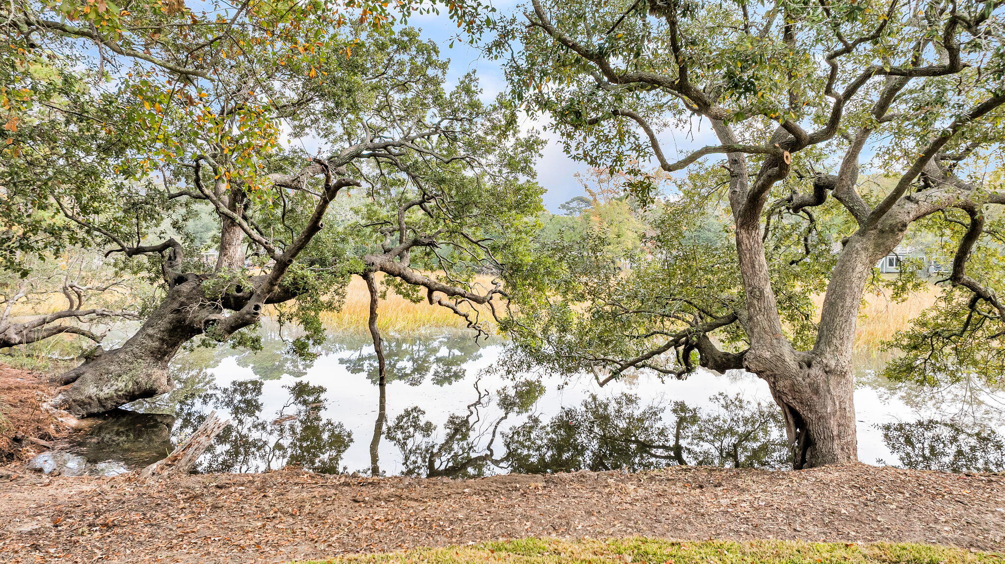 58 Indigo Point Drive