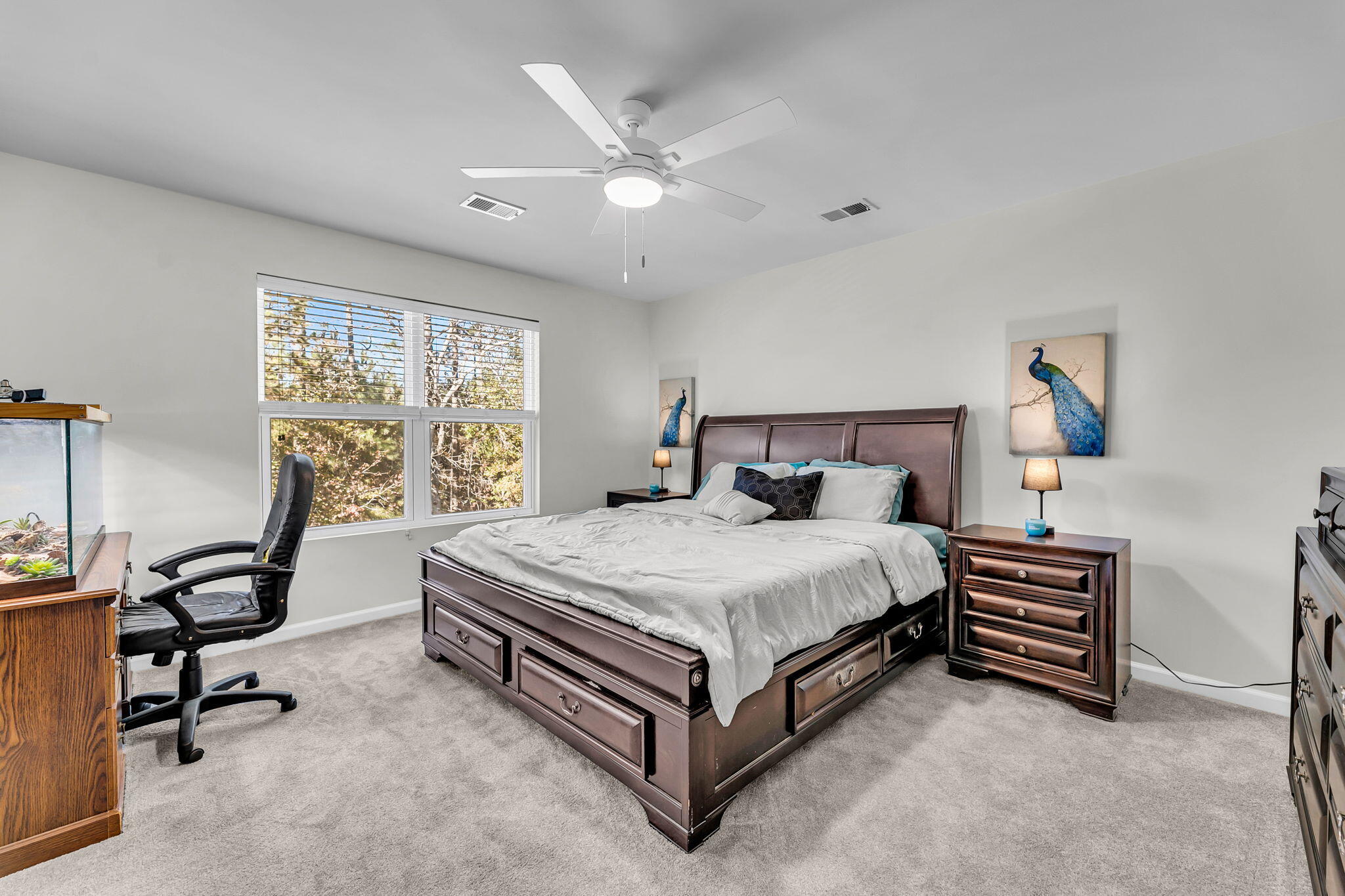 1654 Eider Down Drive