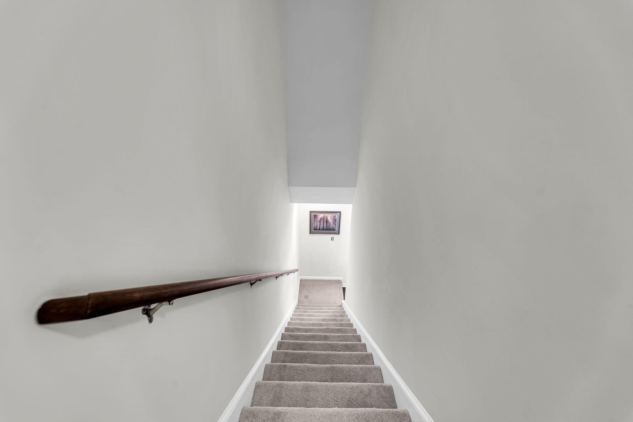 1654 Eider Down Drive