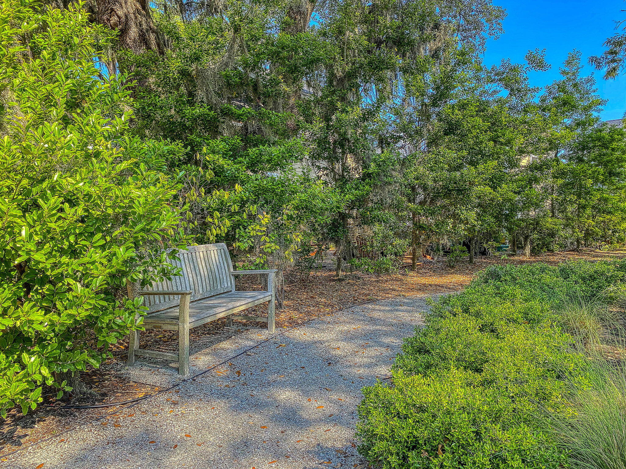 5304 E Dolphin Street