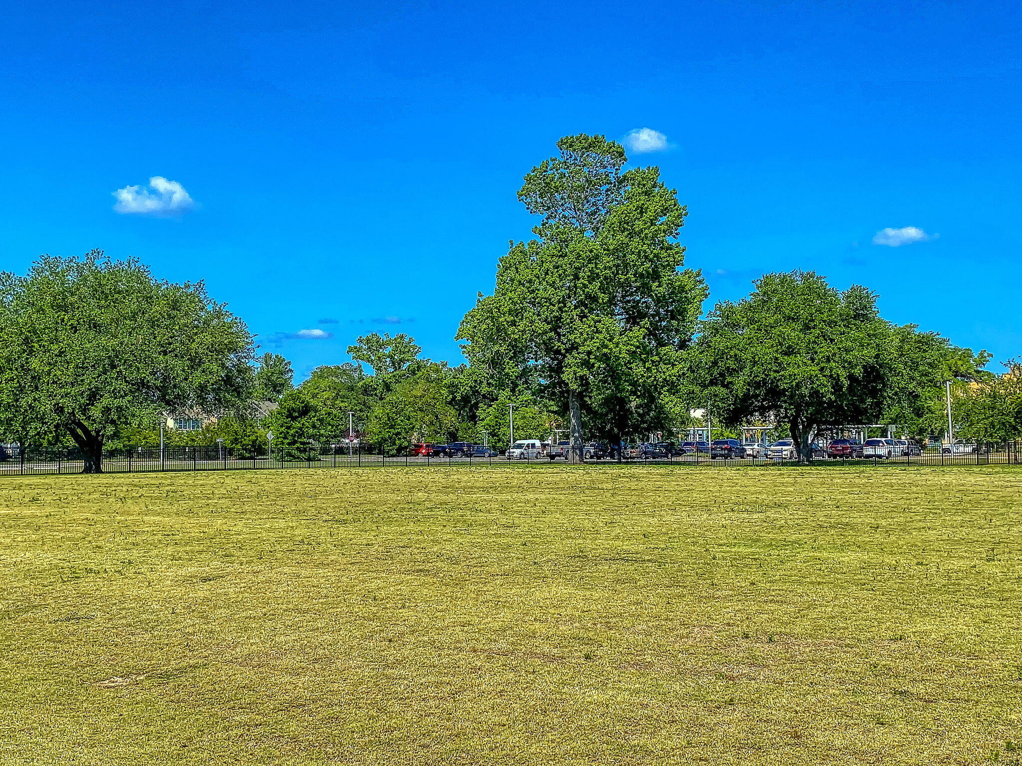 5304 E Dolphin Street